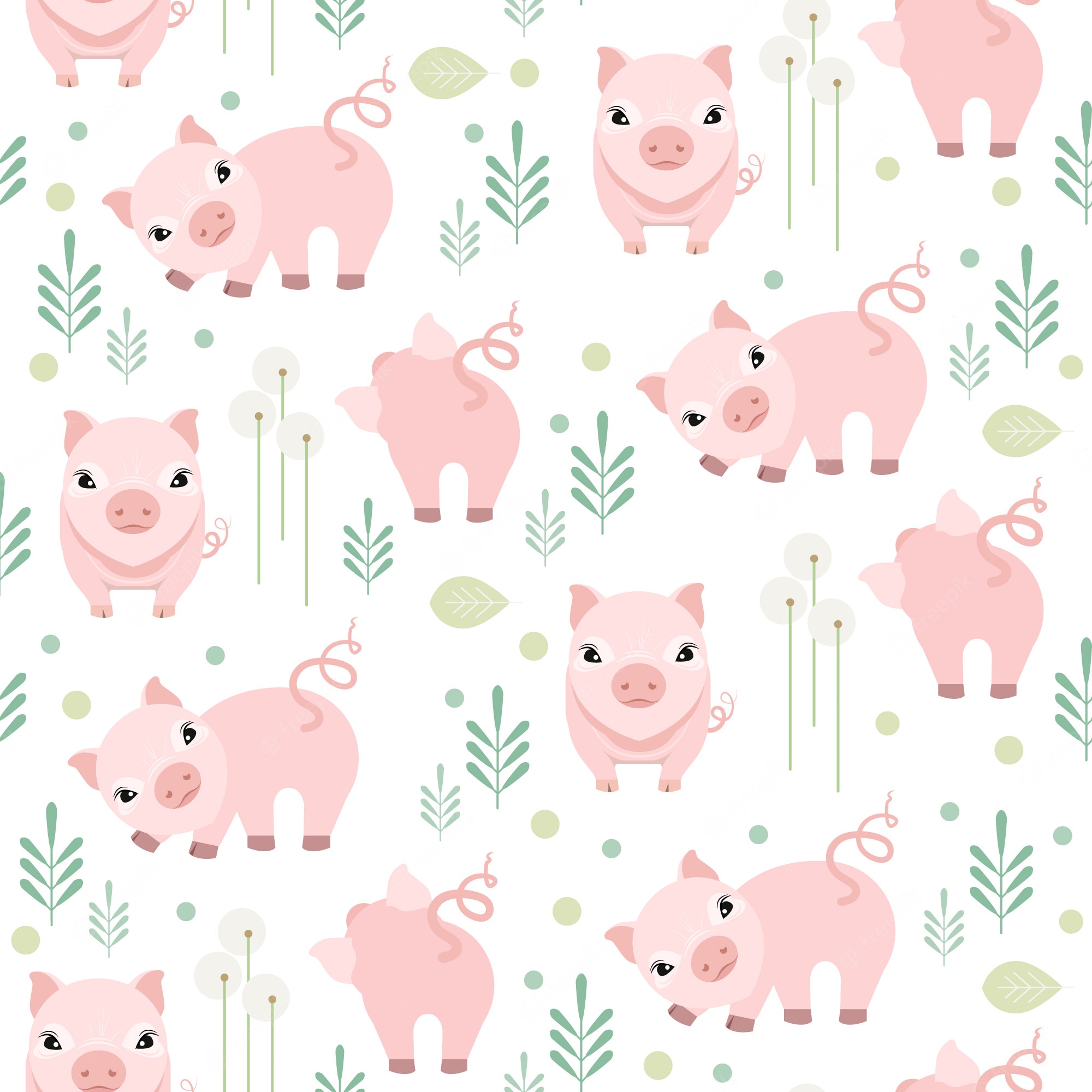 Pig Backgrounds