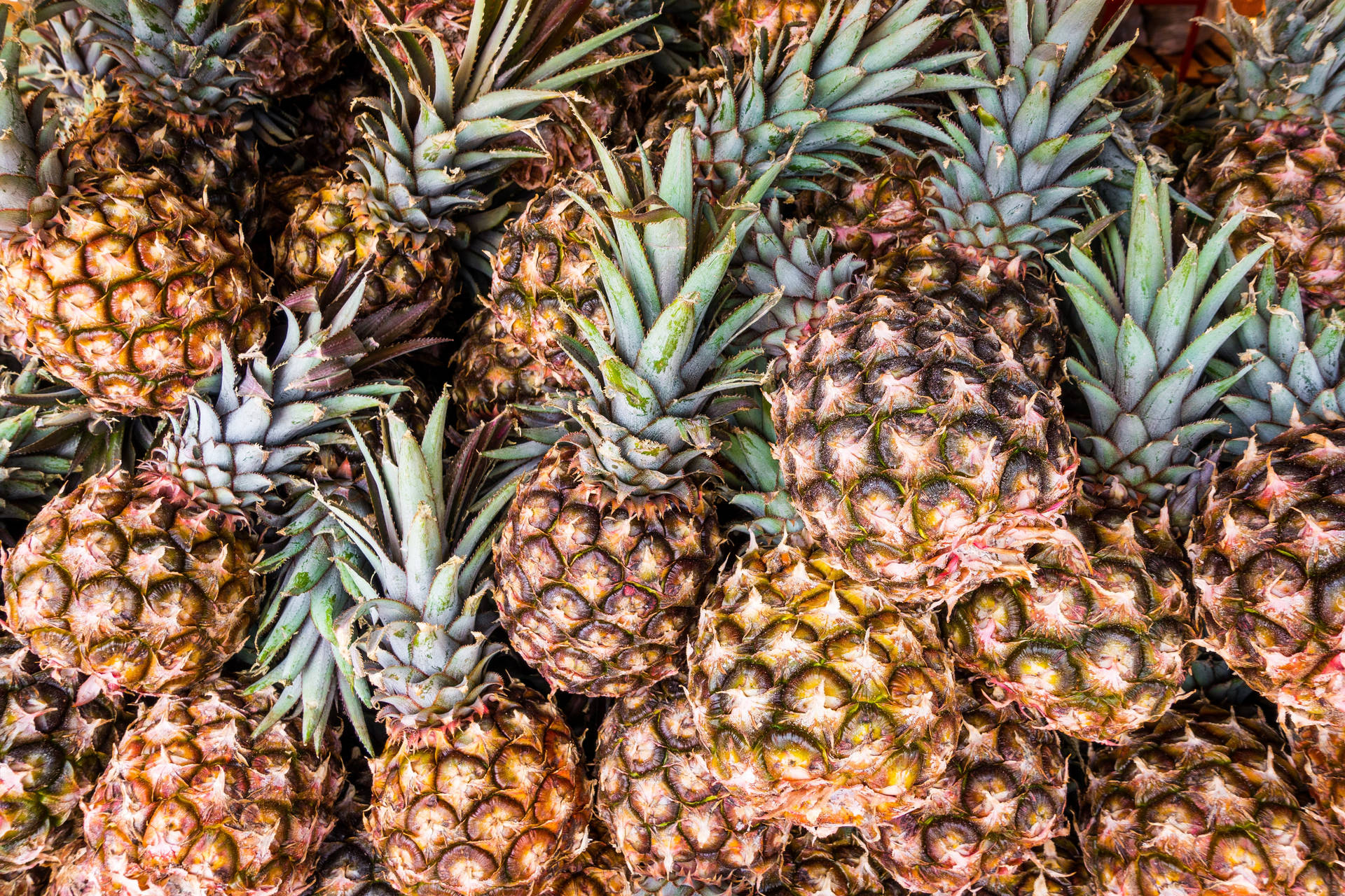 Pineapple Laptop Background