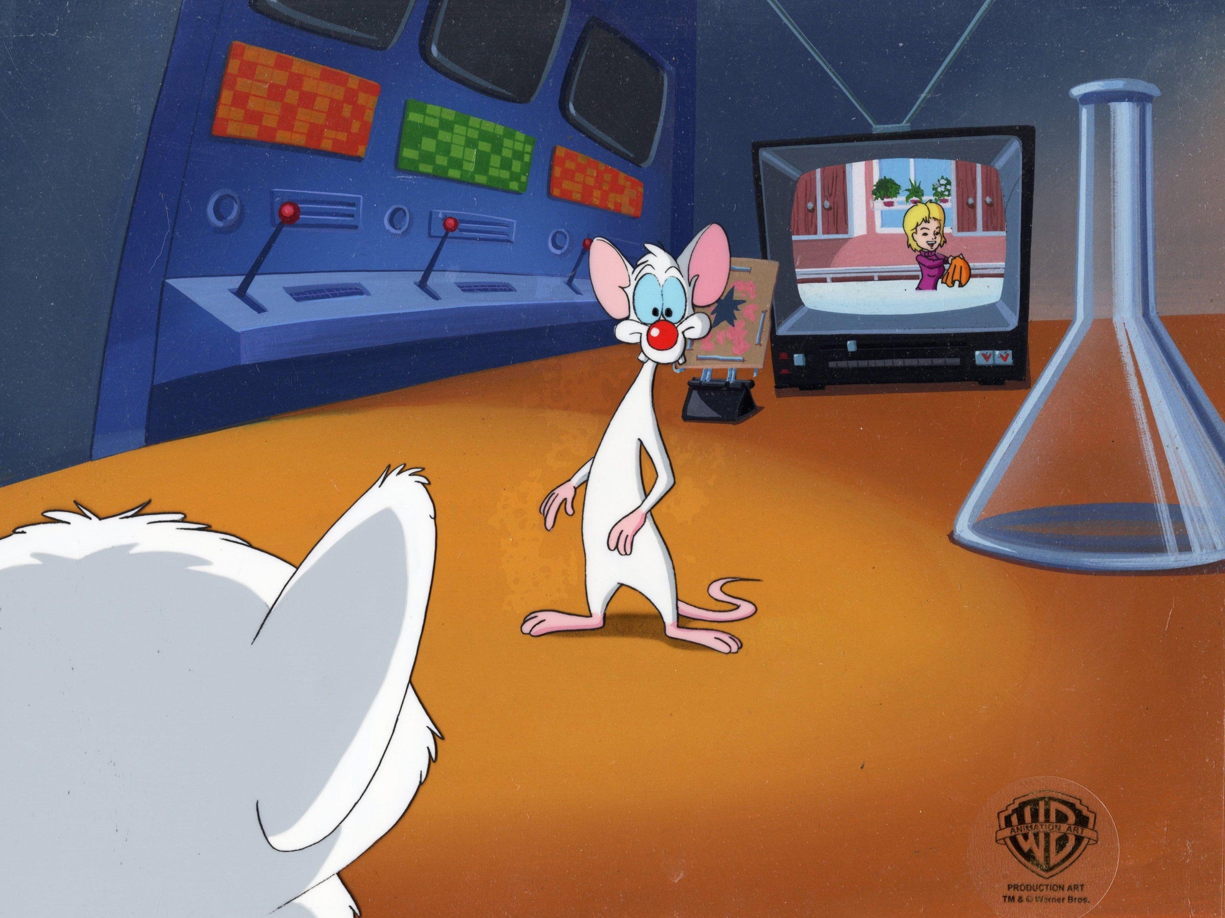 Pinky And The Brain Background