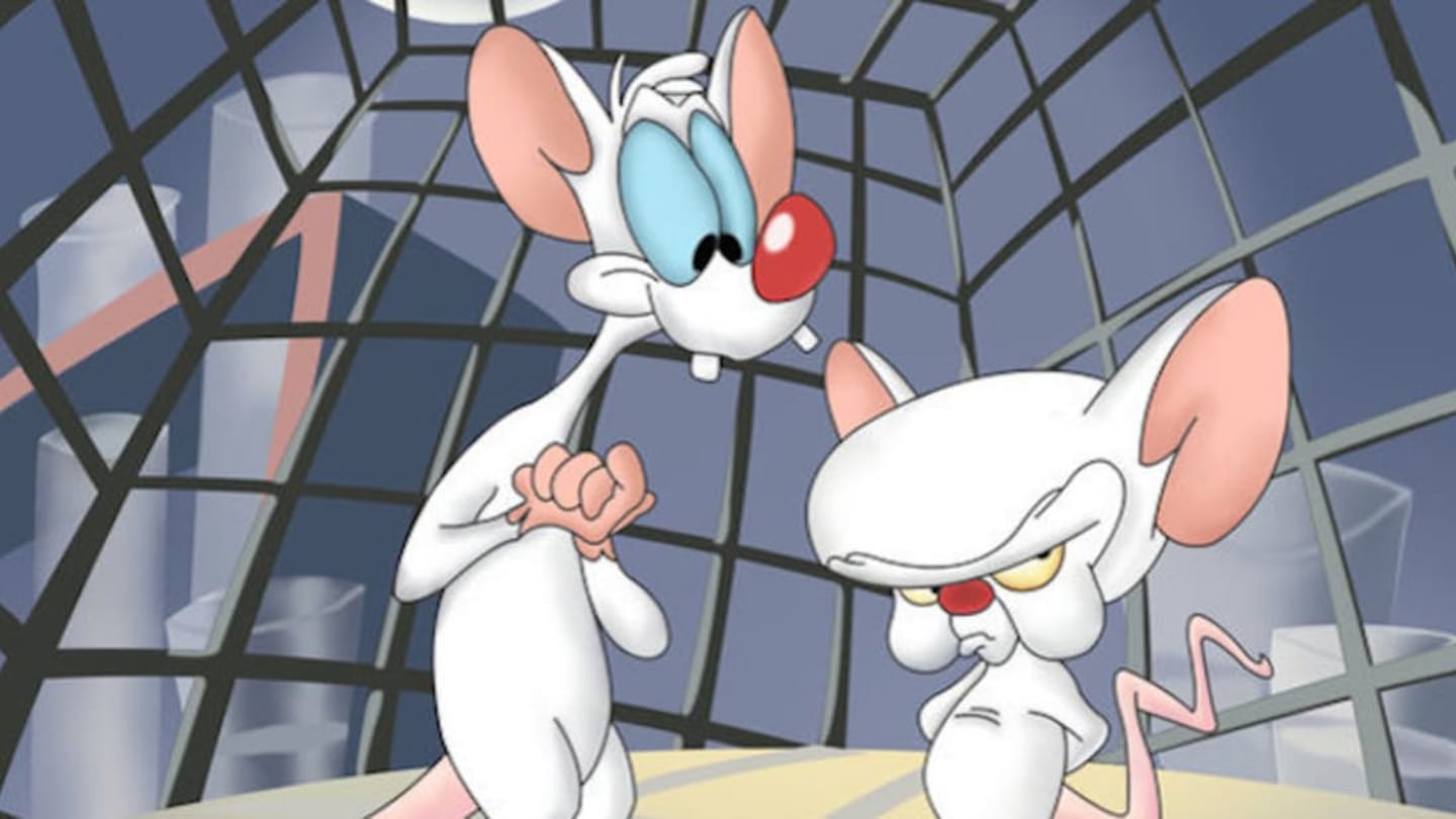 Pinky And The Brain Background