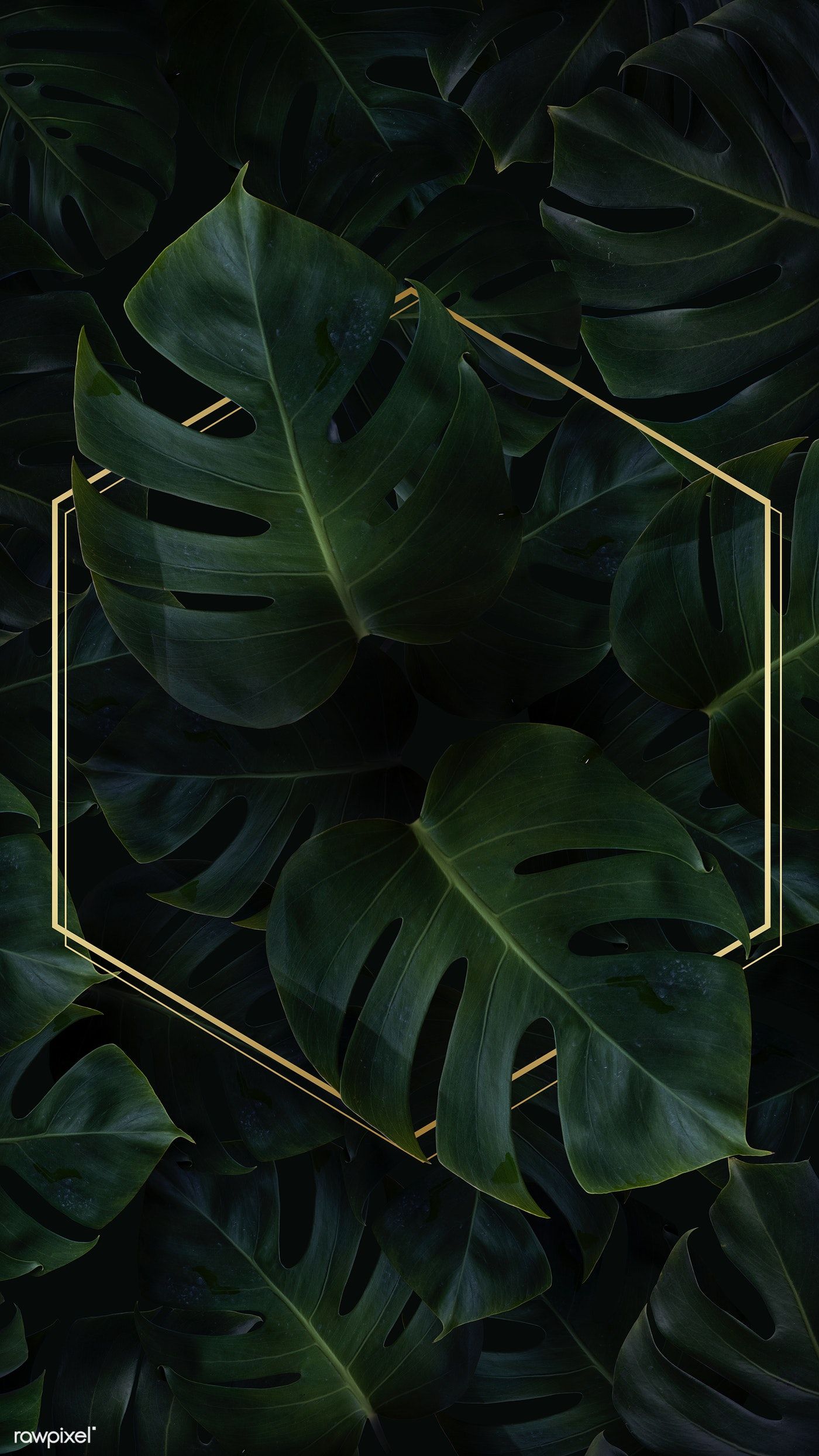 Plants Background