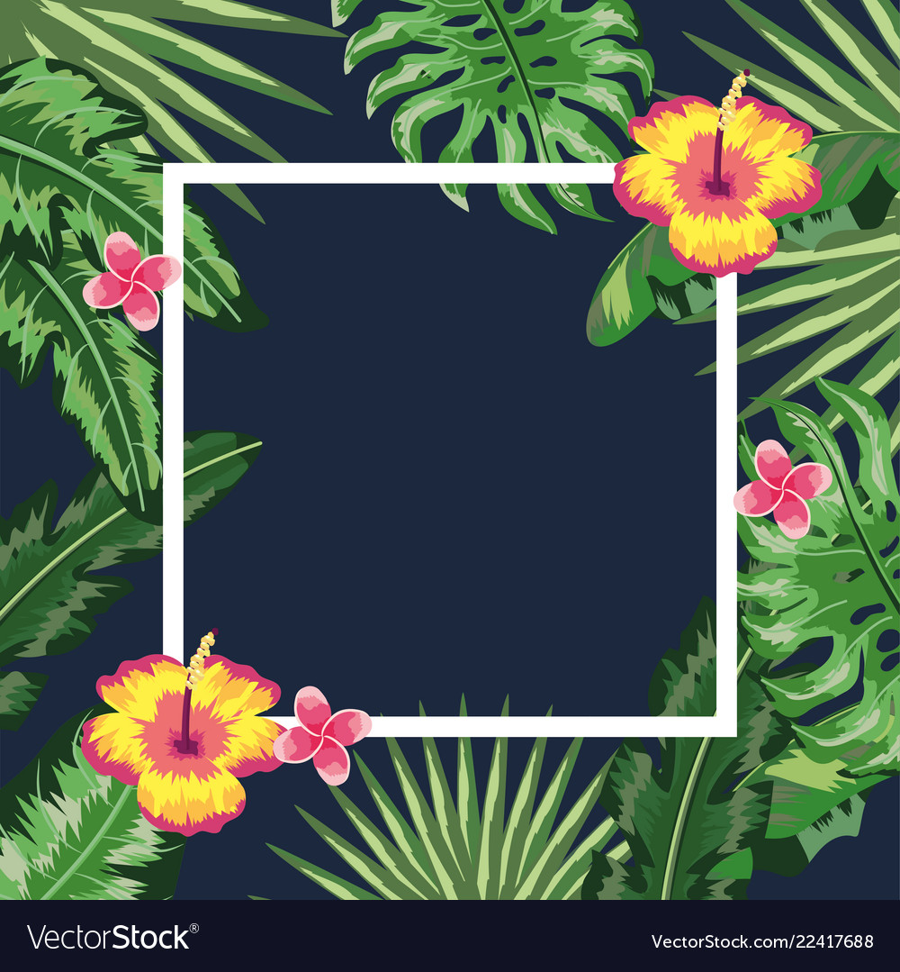 Plants Background