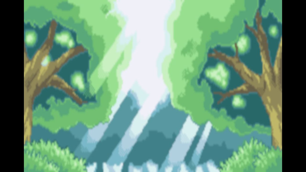 Pokemon Forest Background