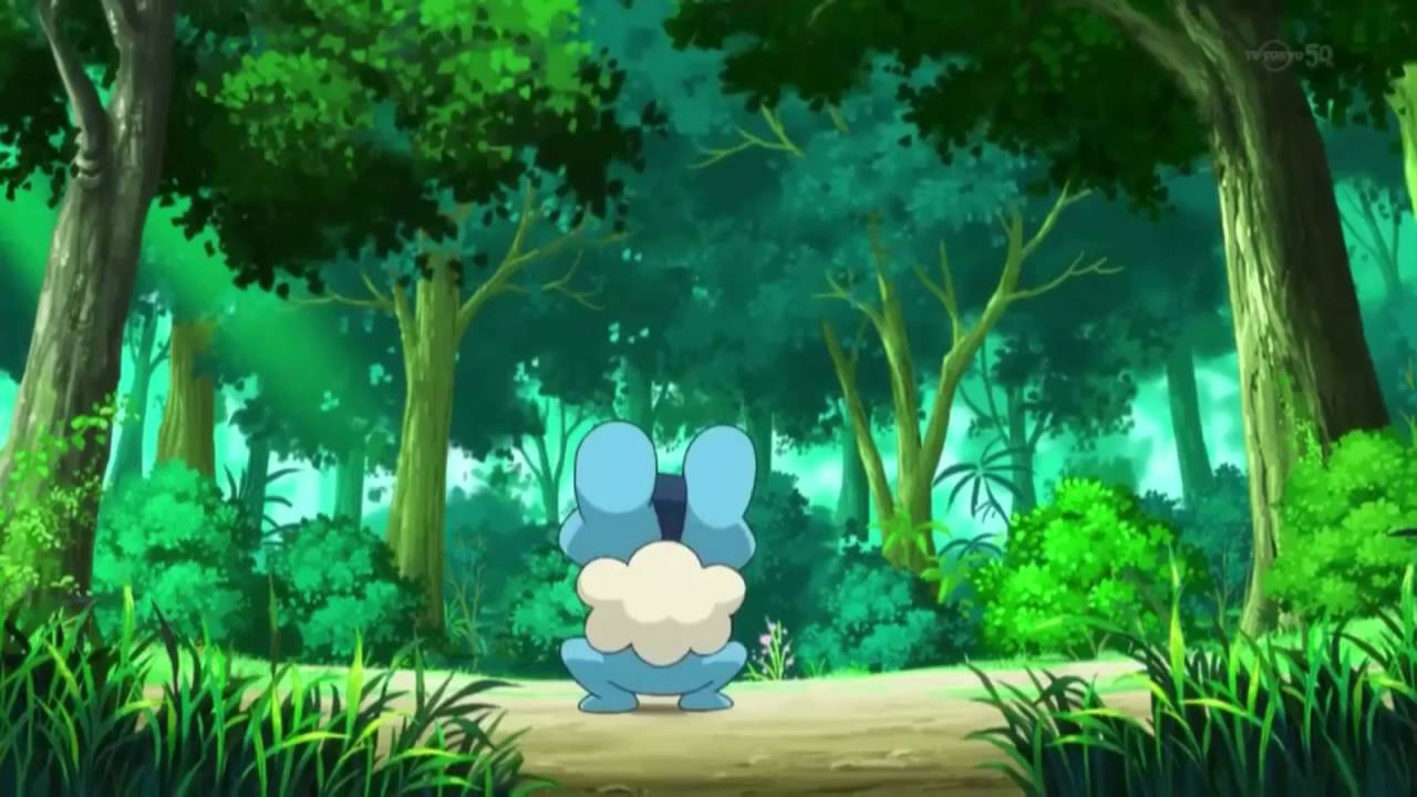 Pokemon Forest Background