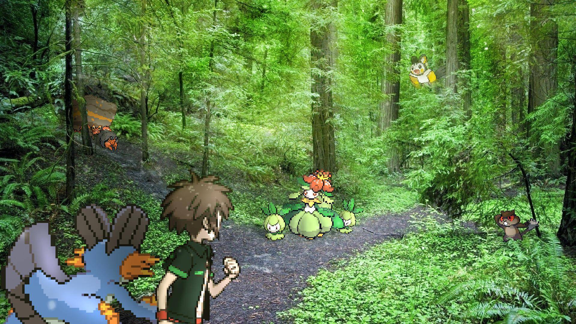 Pokemon Forest Background