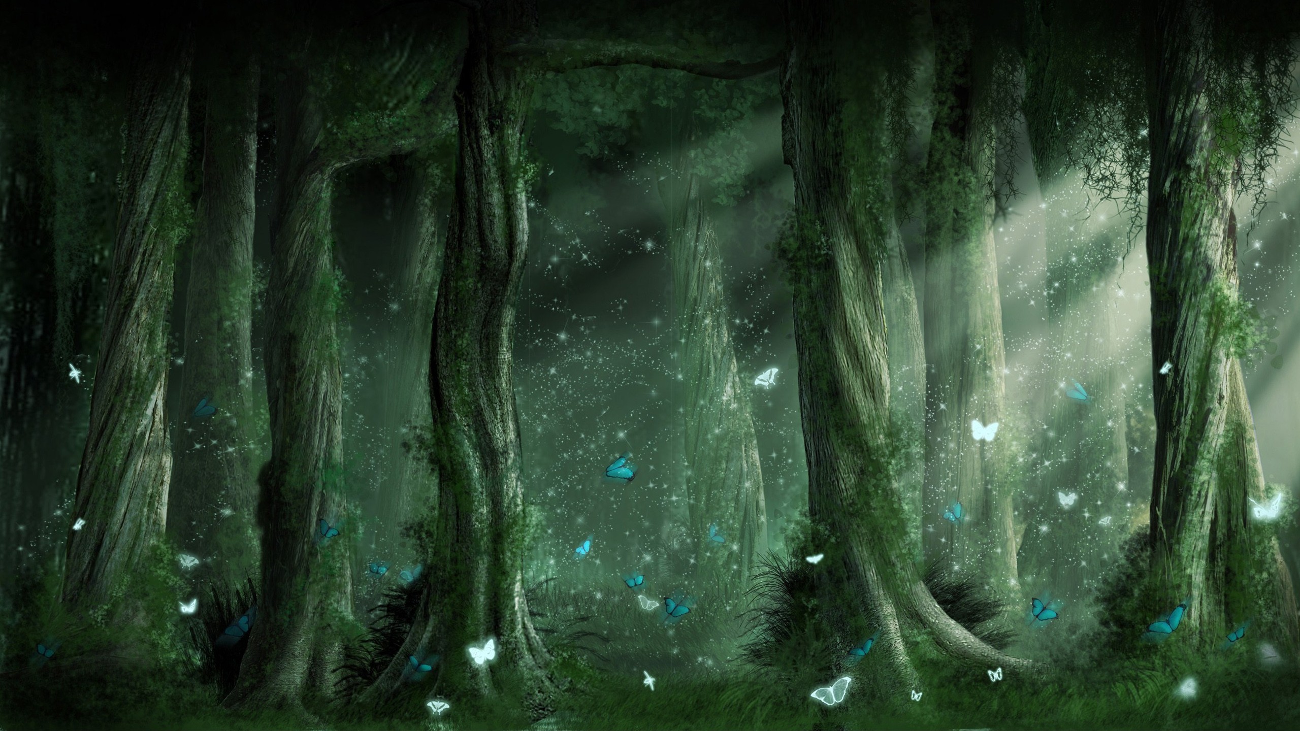 Pokemon Forest Background