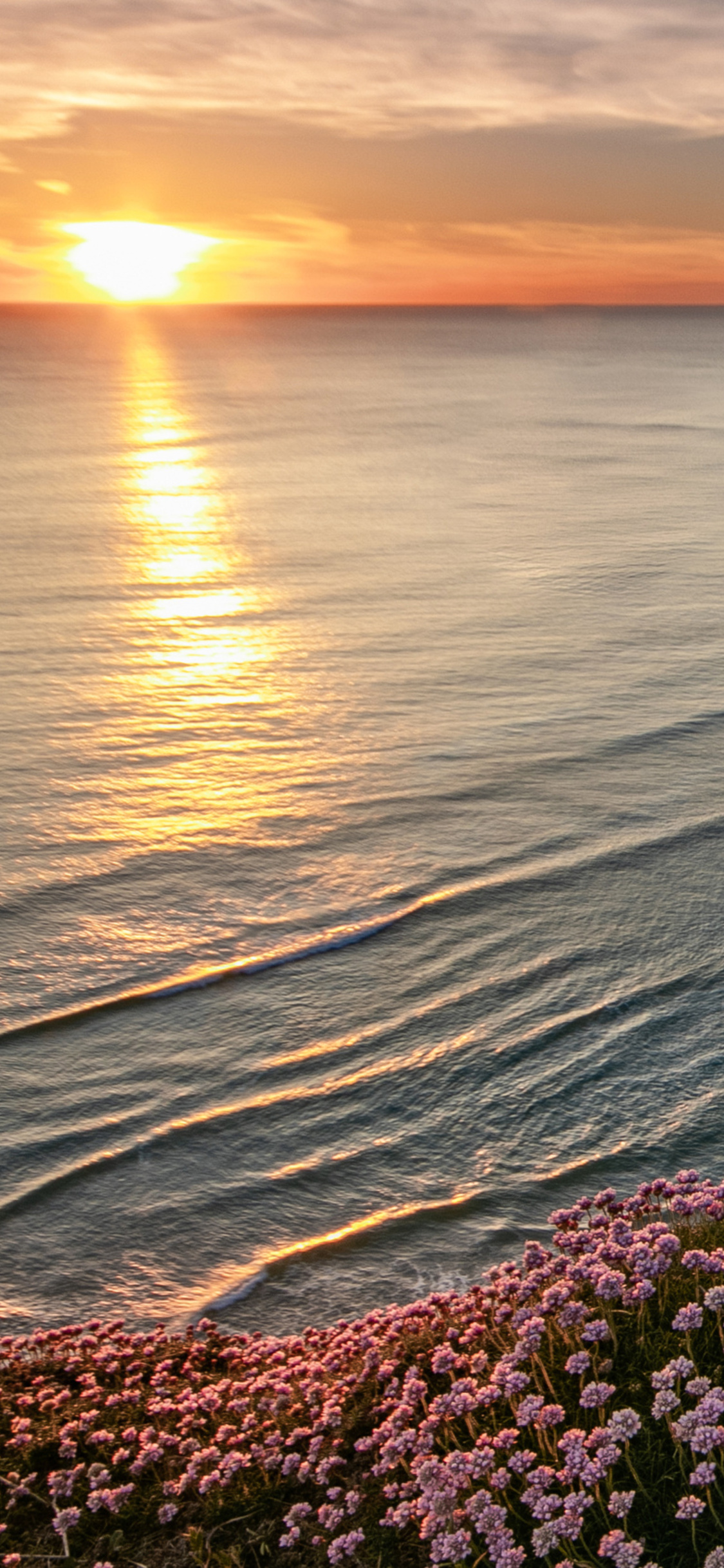 Pretty Beach Backgrounds