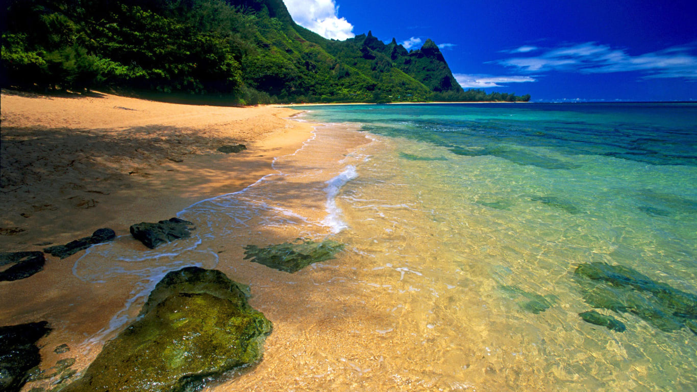 Pretty Beach Backgrounds