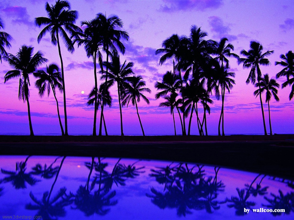 Pretty Beach Backgrounds