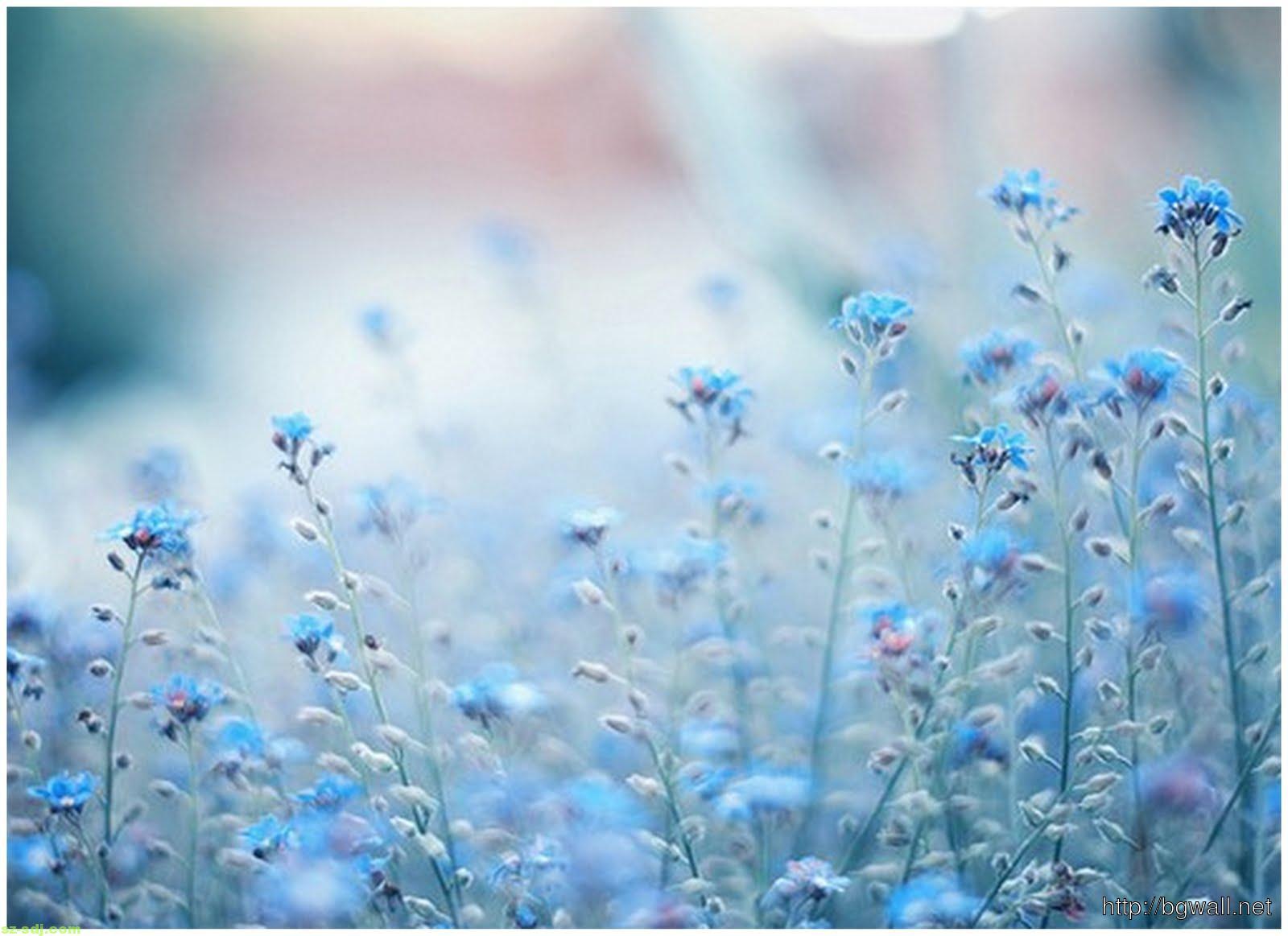 Pretty Blue Tumblr Backgrounds