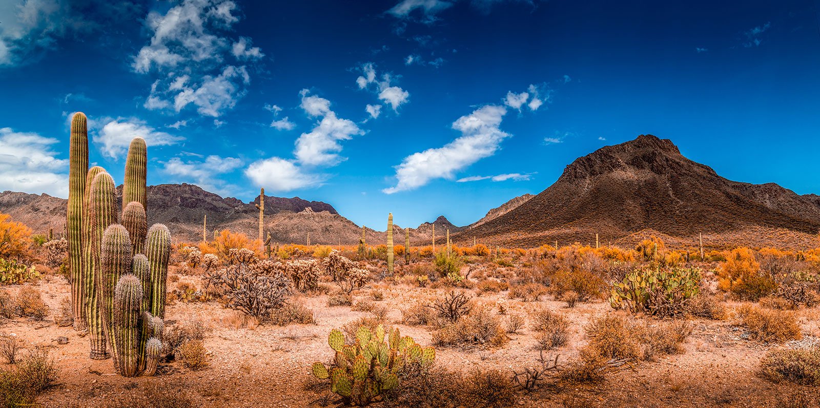 Printable Desert Backgrounds