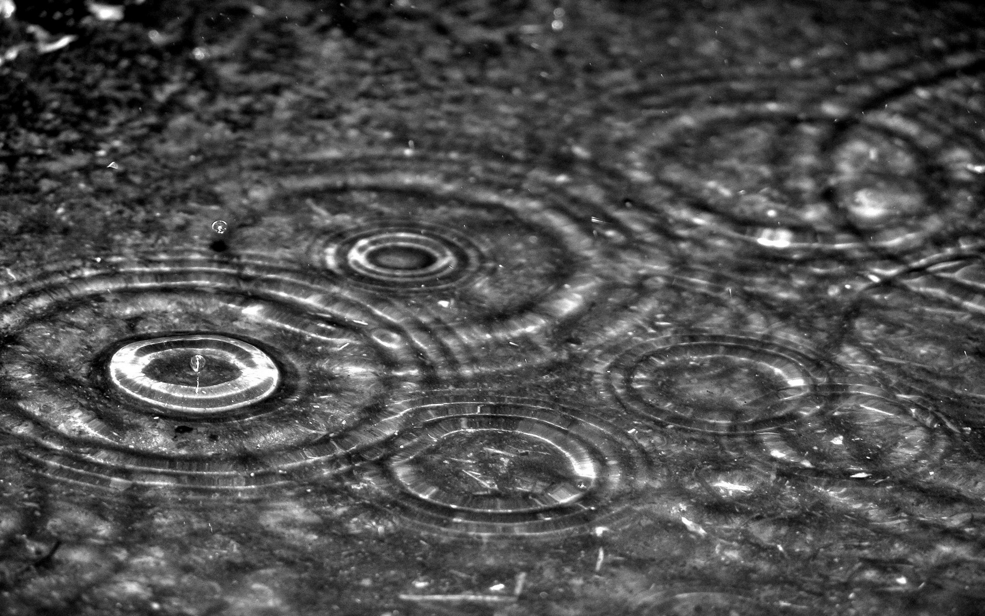 Raindrops Backgrounds