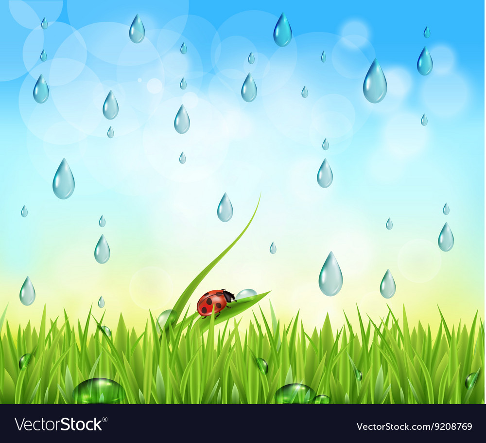 Raindrops Backgrounds