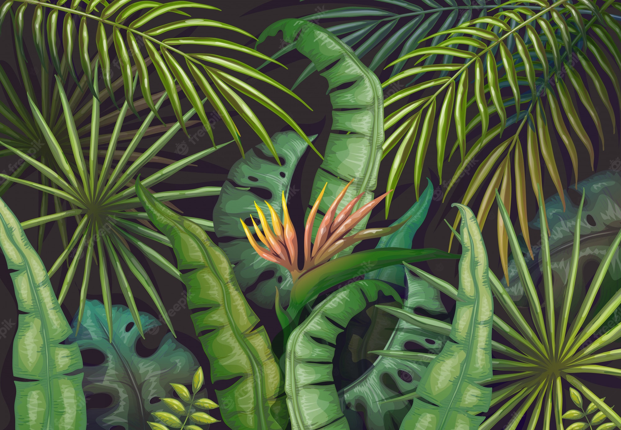 Rainforest Leaves Background