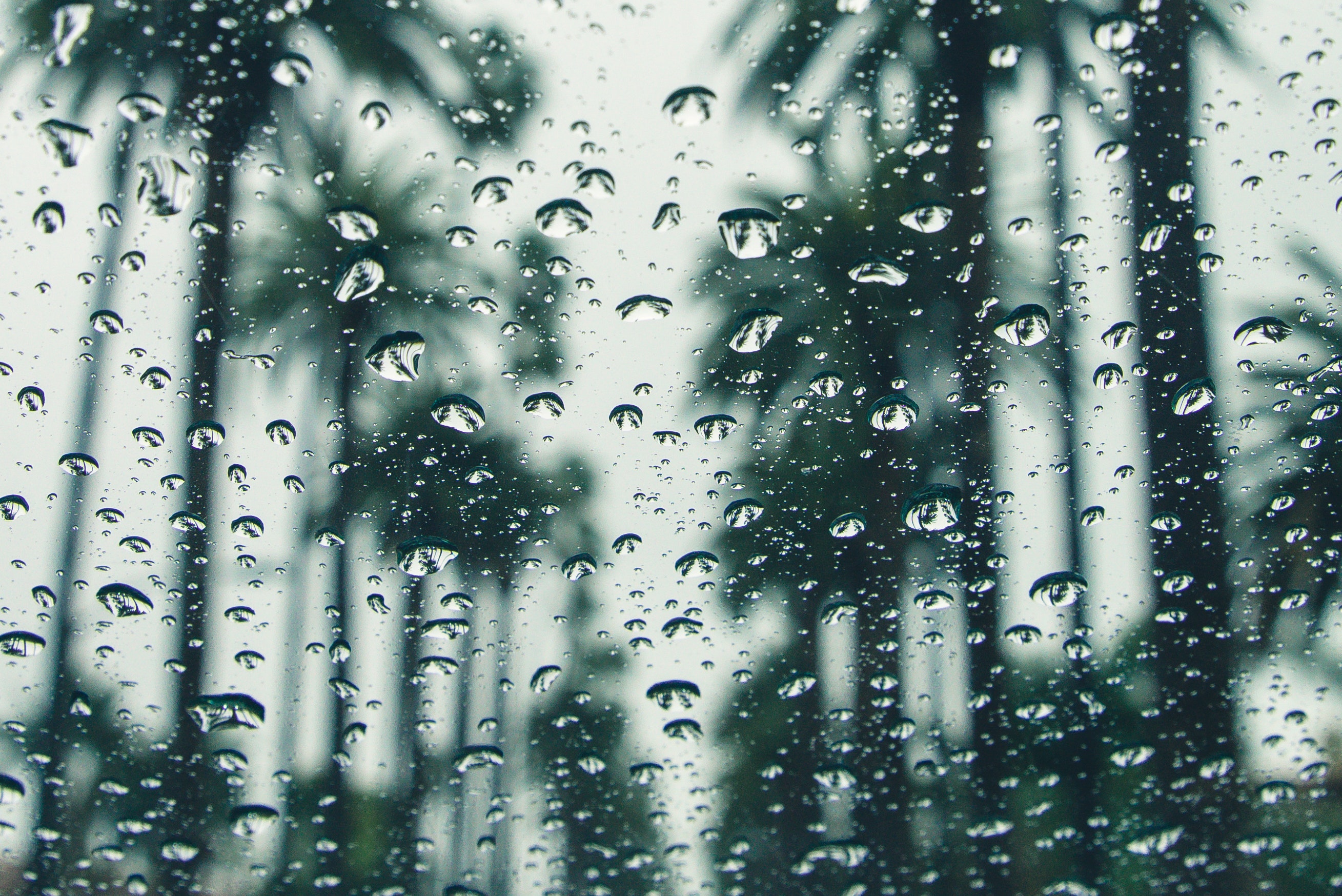 Rainy Weather Background