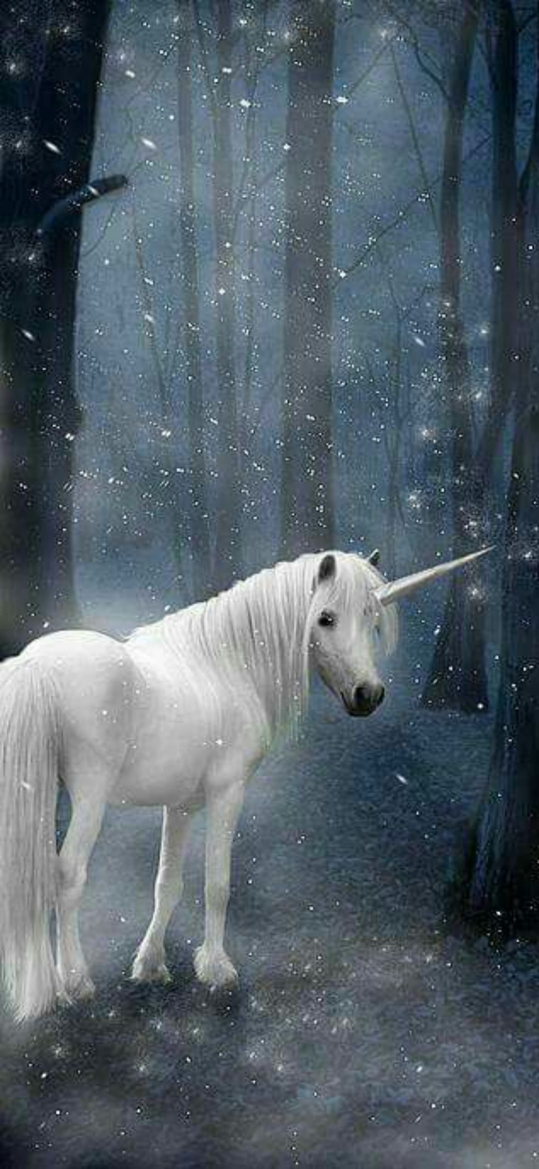 Real Unicorn Backgrounds