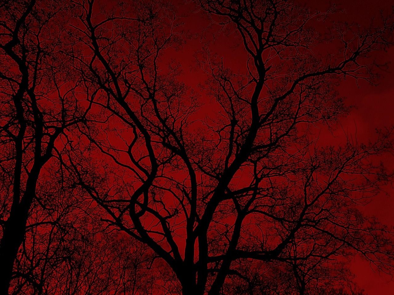 Red Creepy Background