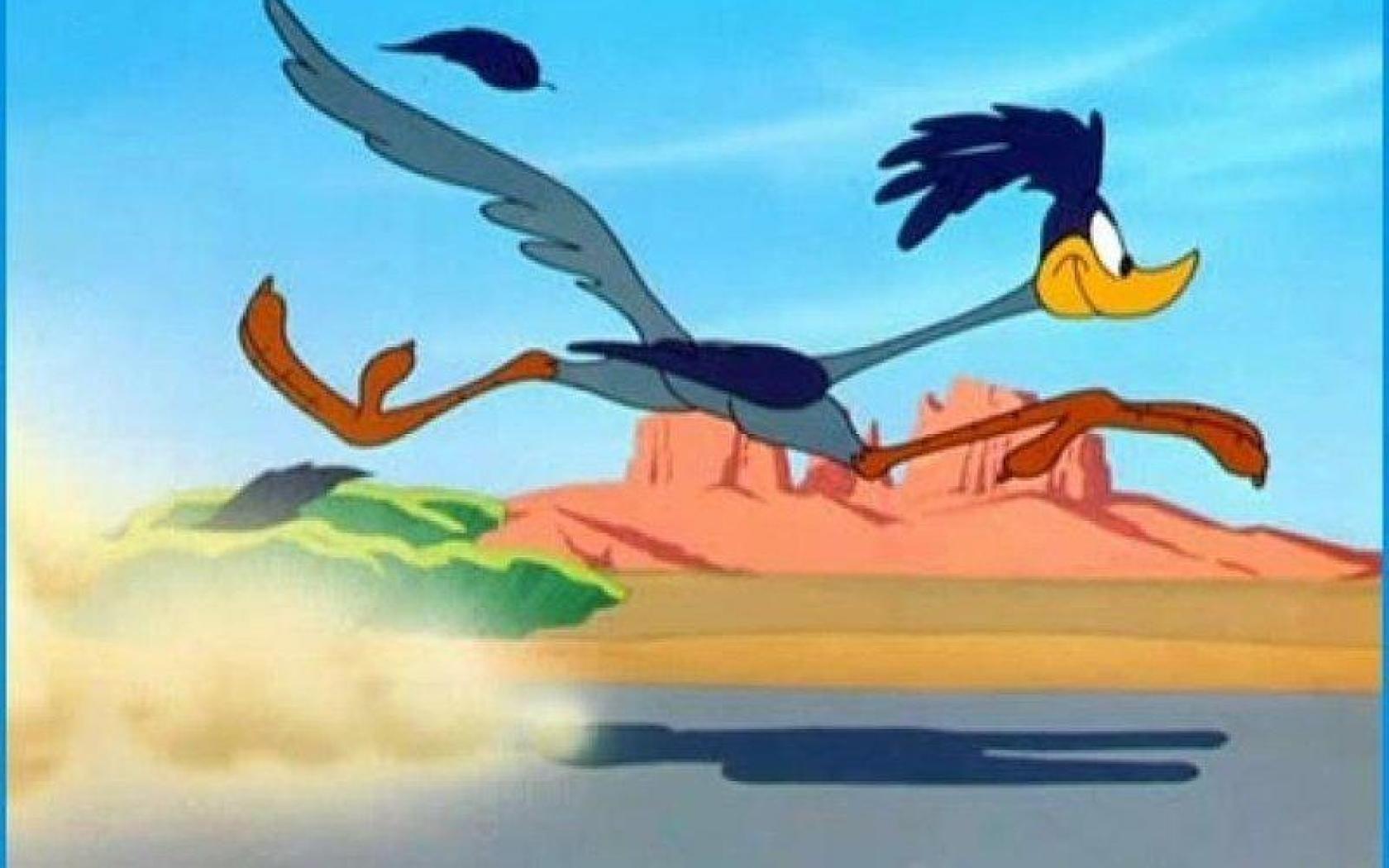 Road Runner Backgrounds