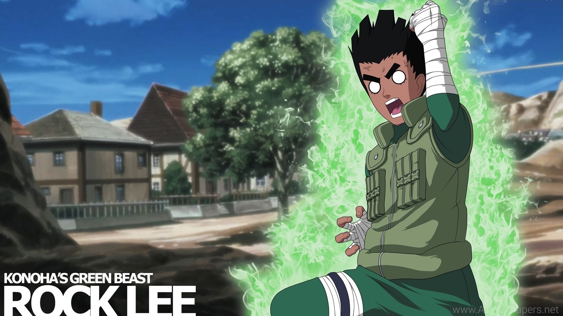 Rock Lee Background