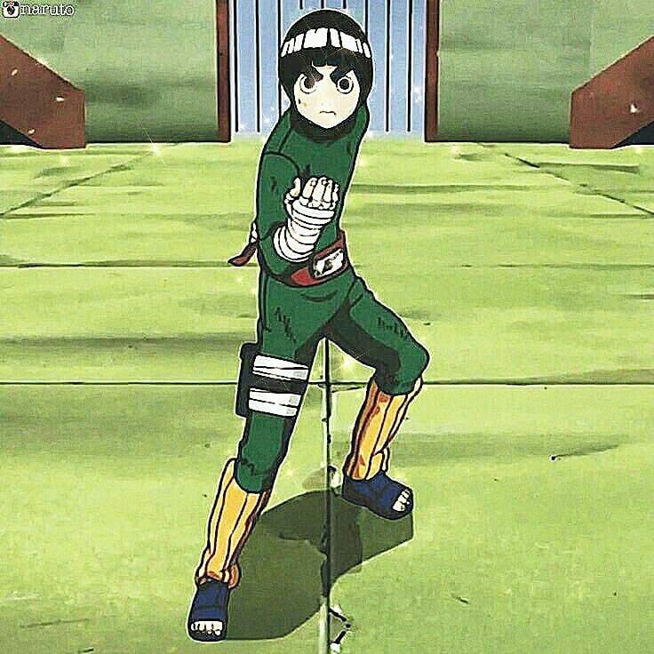 Rock Lee Background