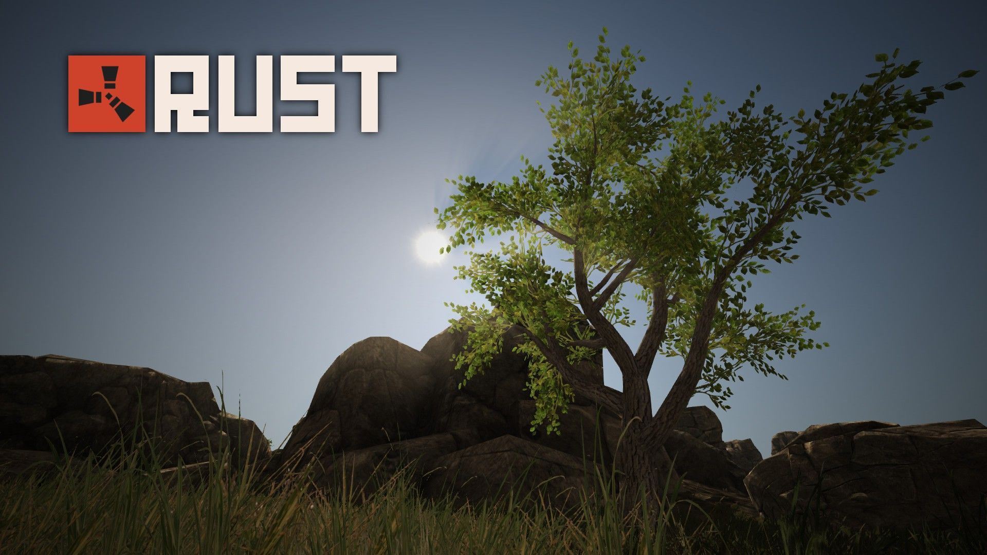 Rust Game Background