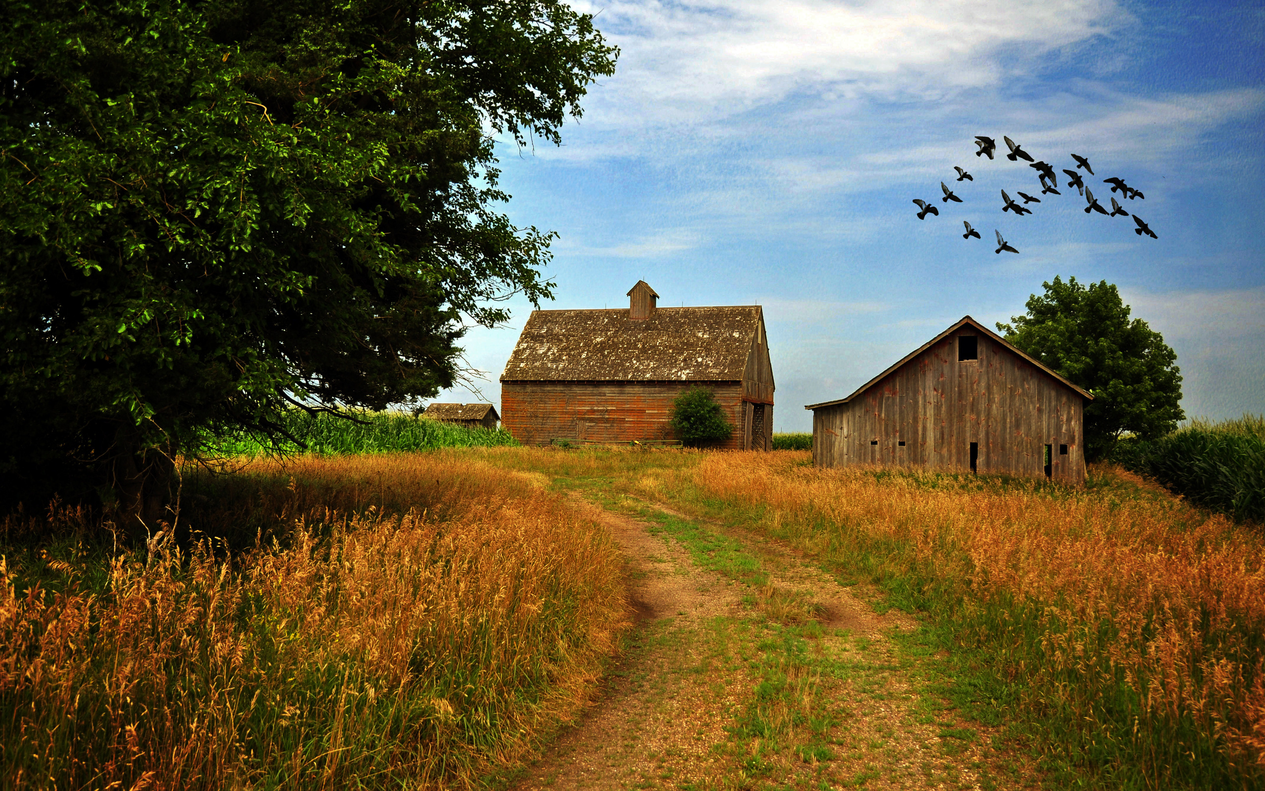 Rustic Desktop Backgrounds