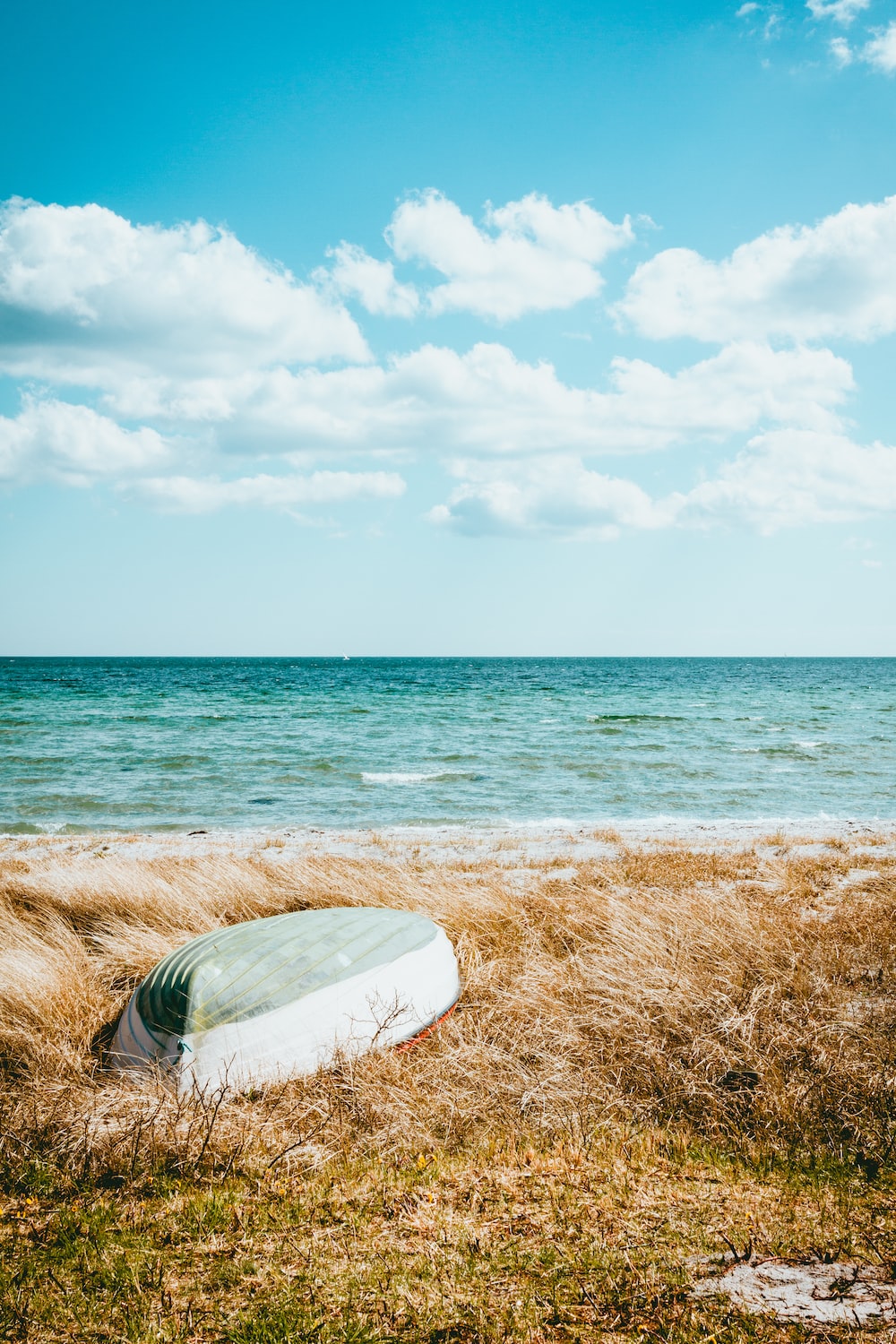 Seaside Background