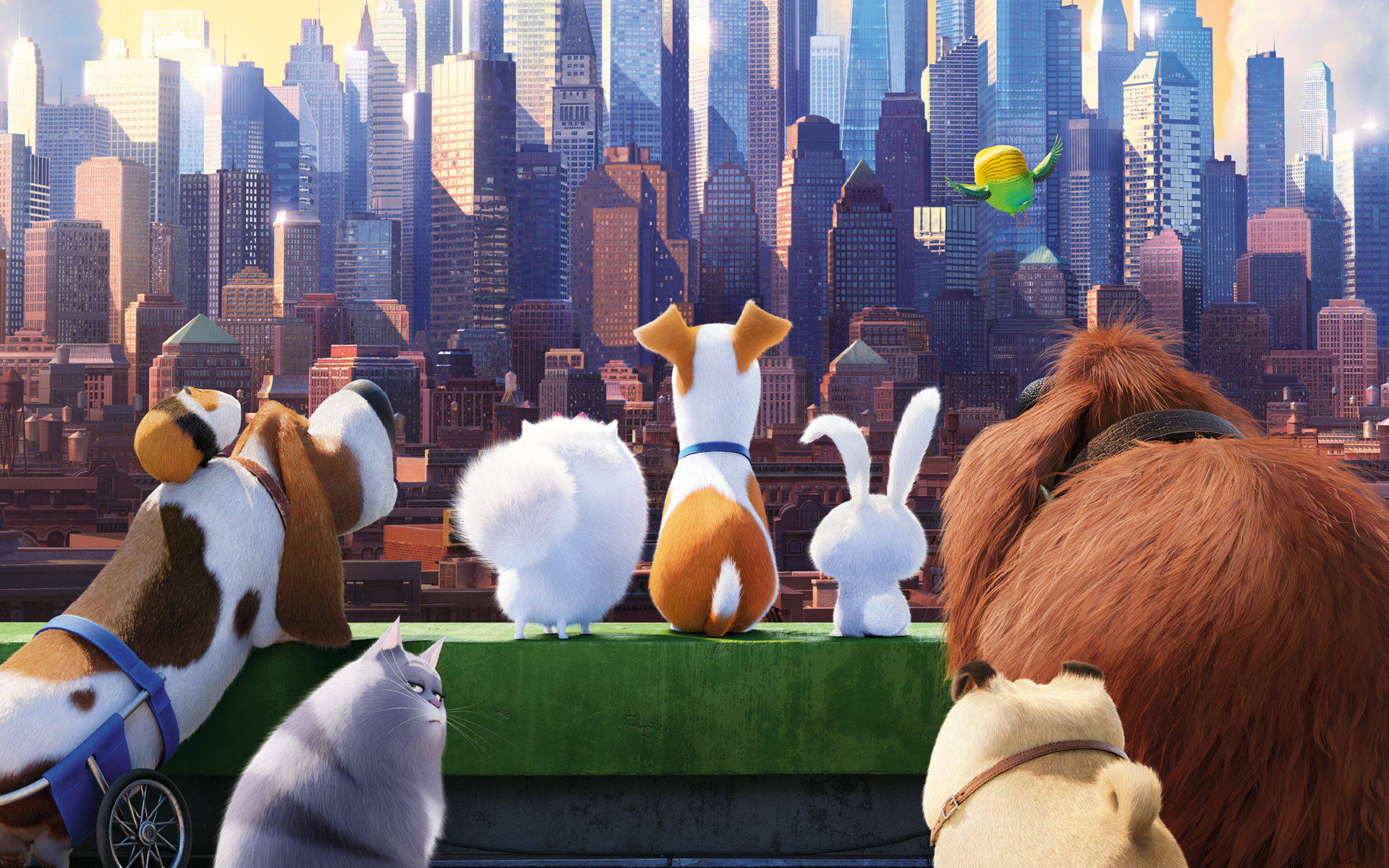 Secret Life Of Pets Background