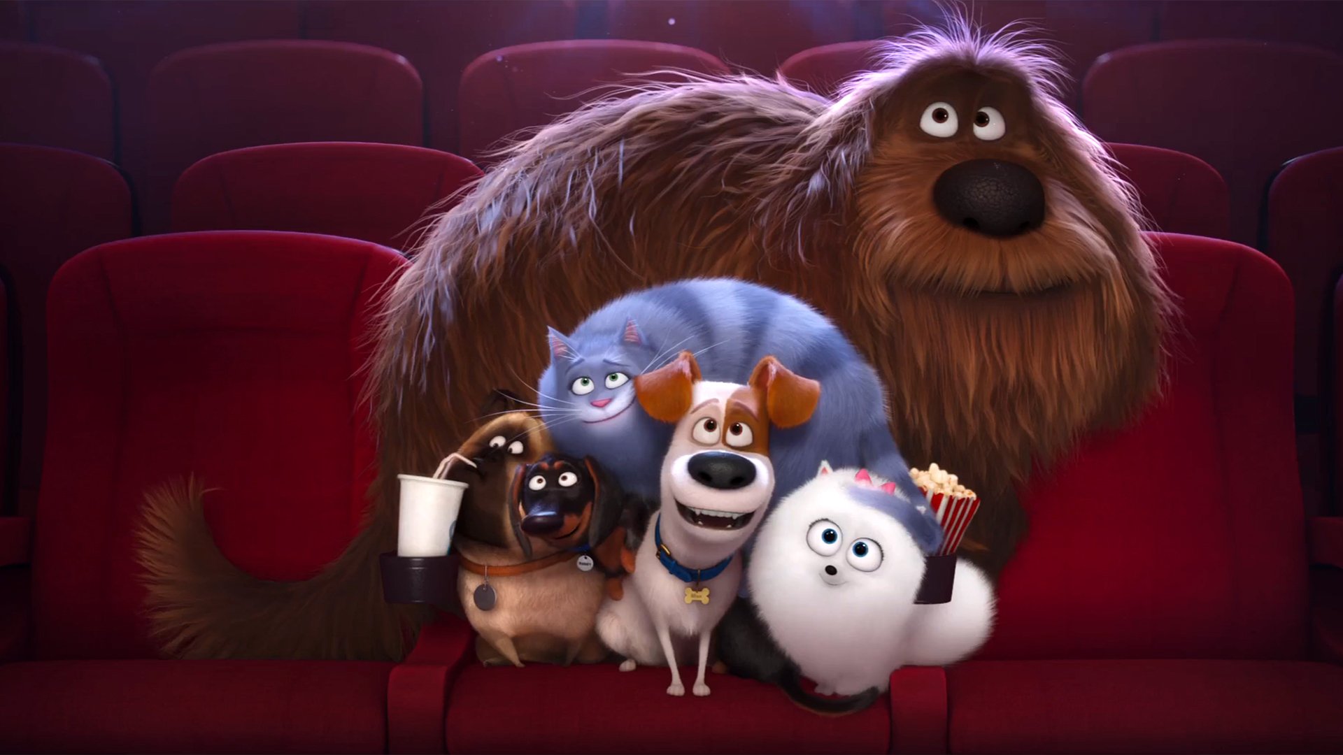 Secret Life Of Pets Background