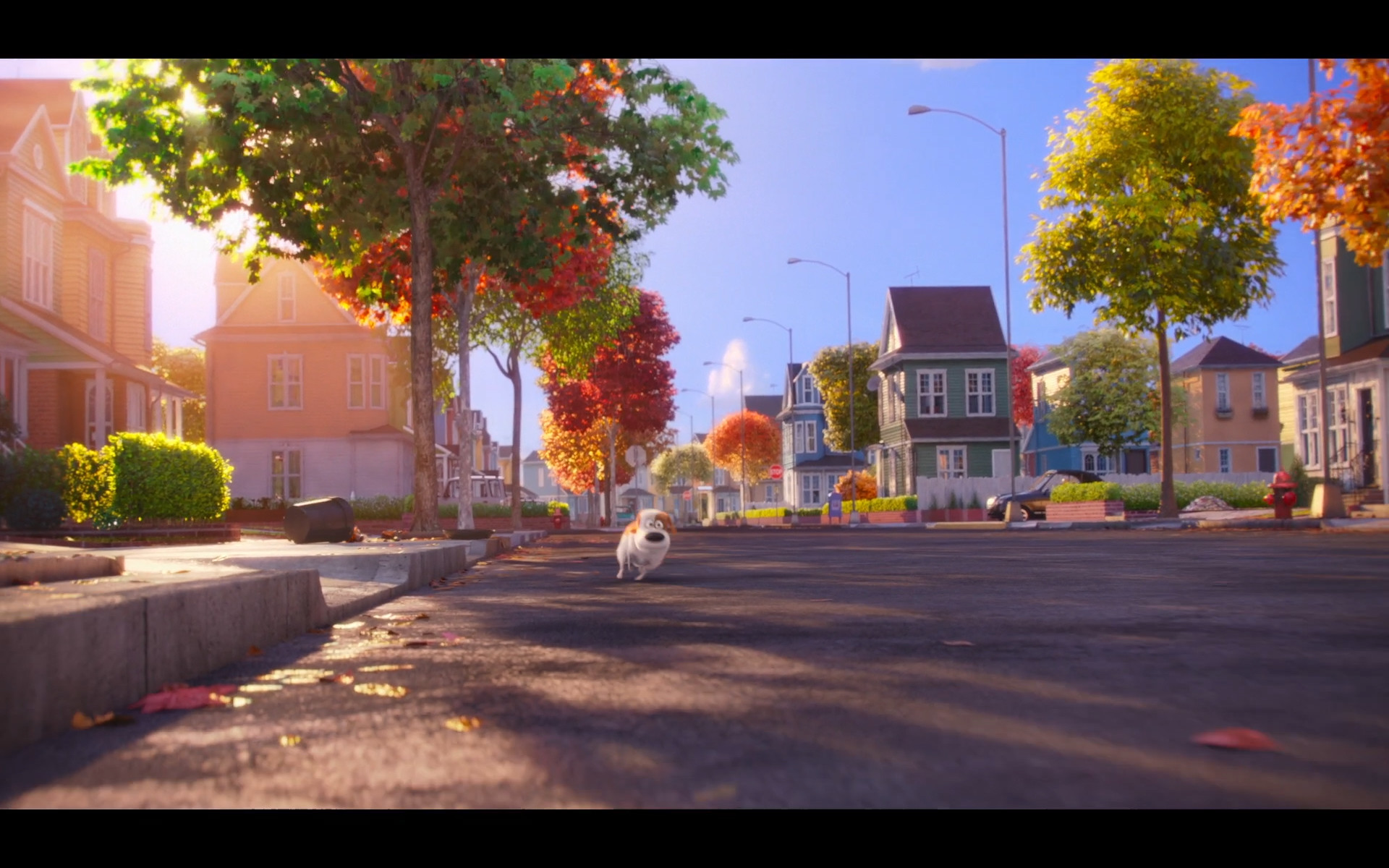 Secret Life Of Pets Background