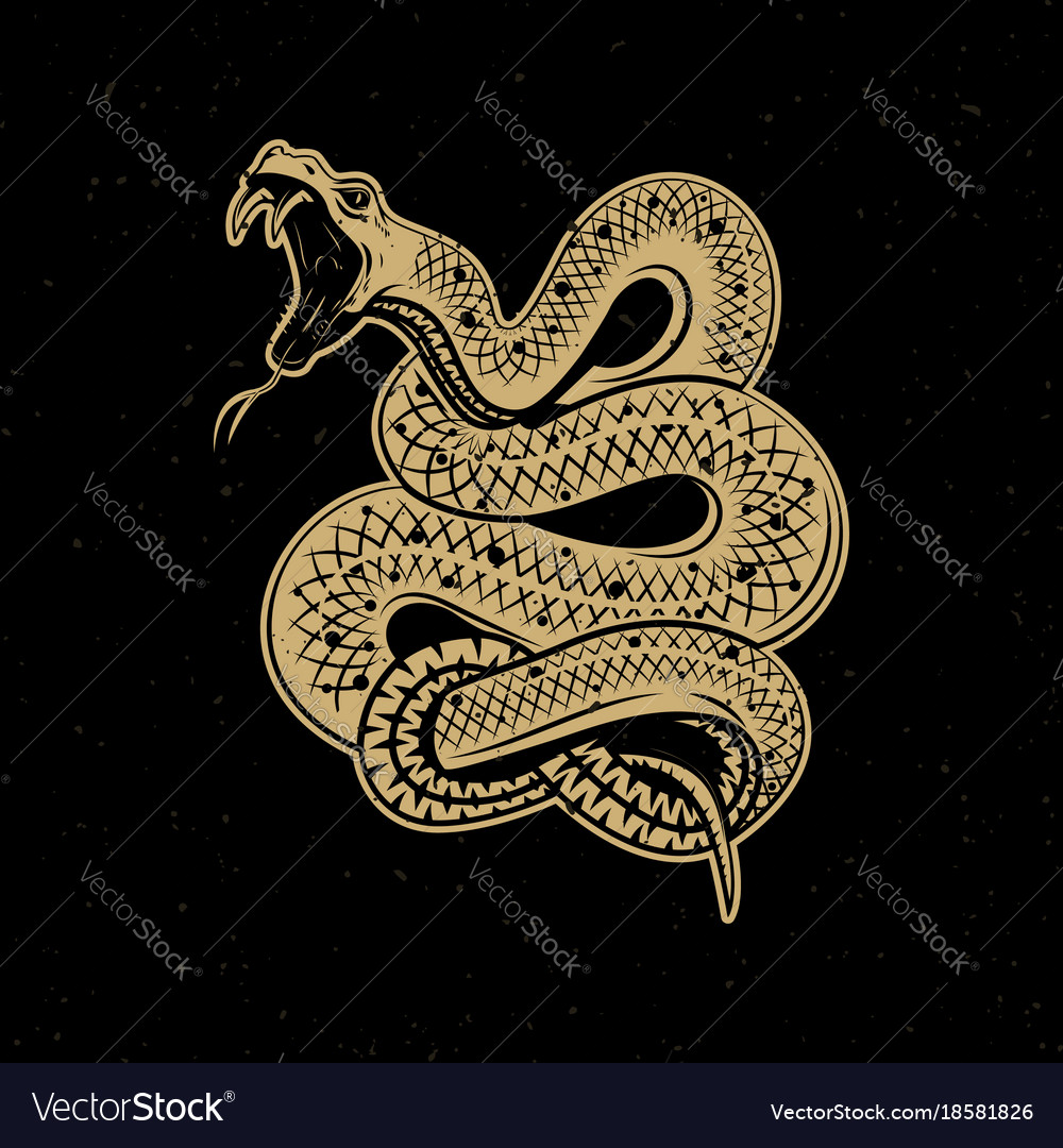 Snake Background