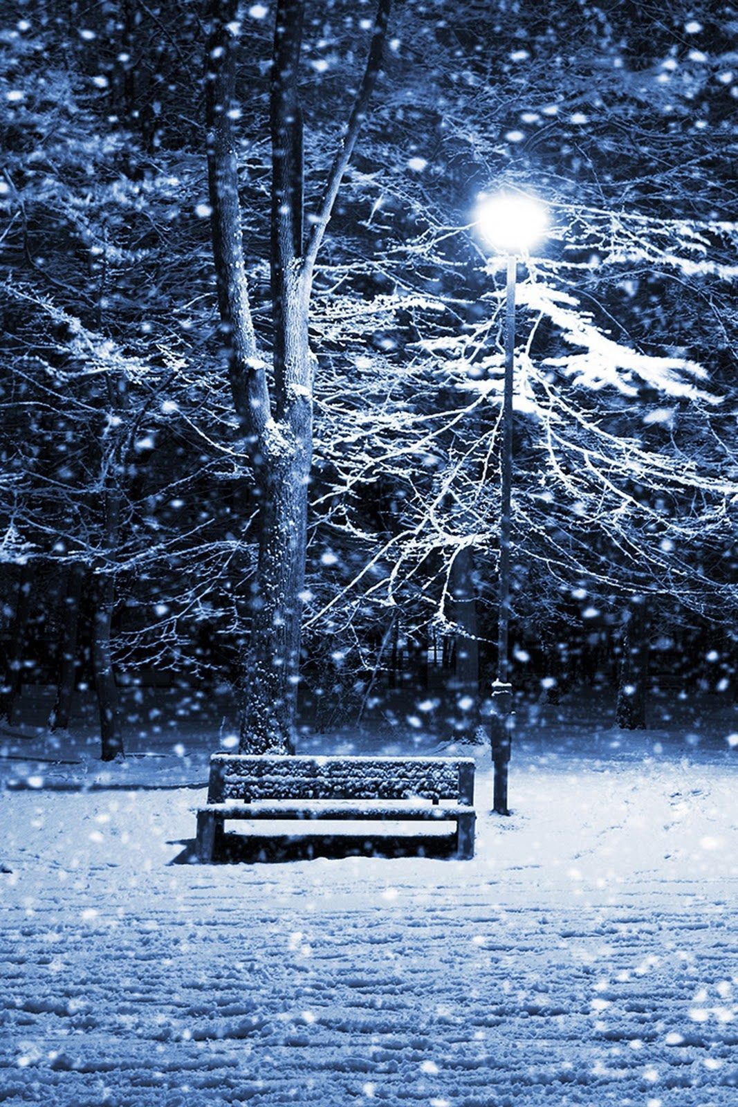 Snow Iphone Background