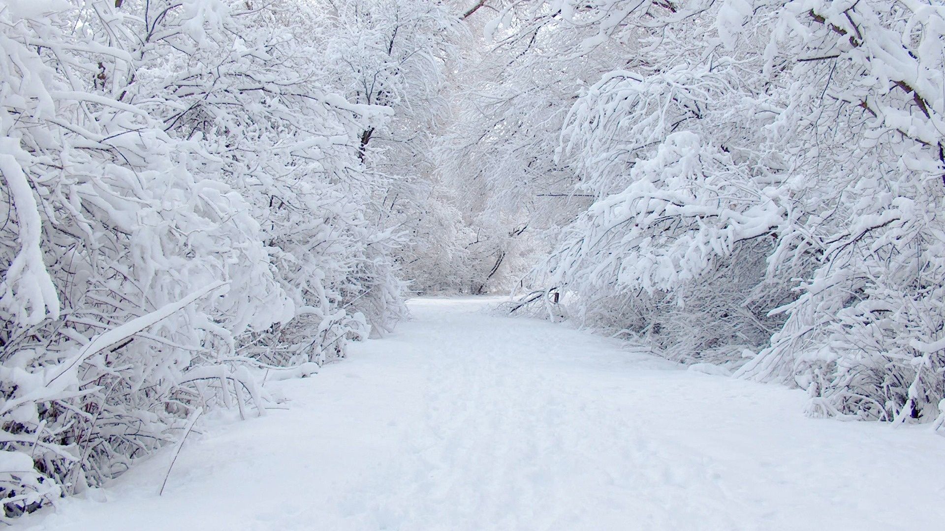 Snowy Background