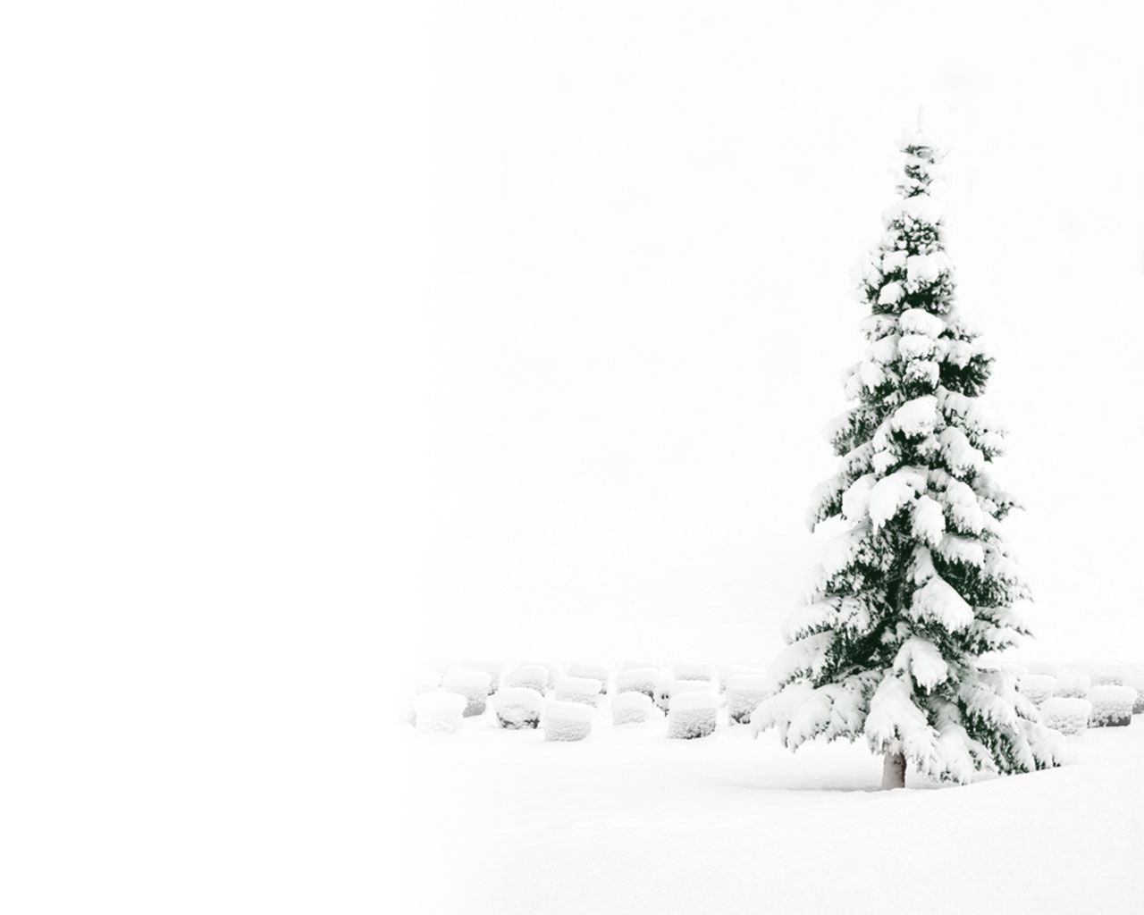 Snowy Christmas Backgrounds