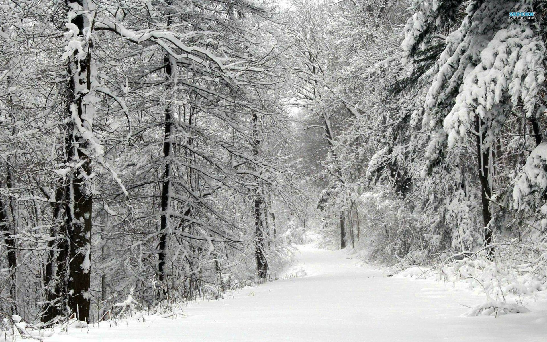 Snowy Road Background