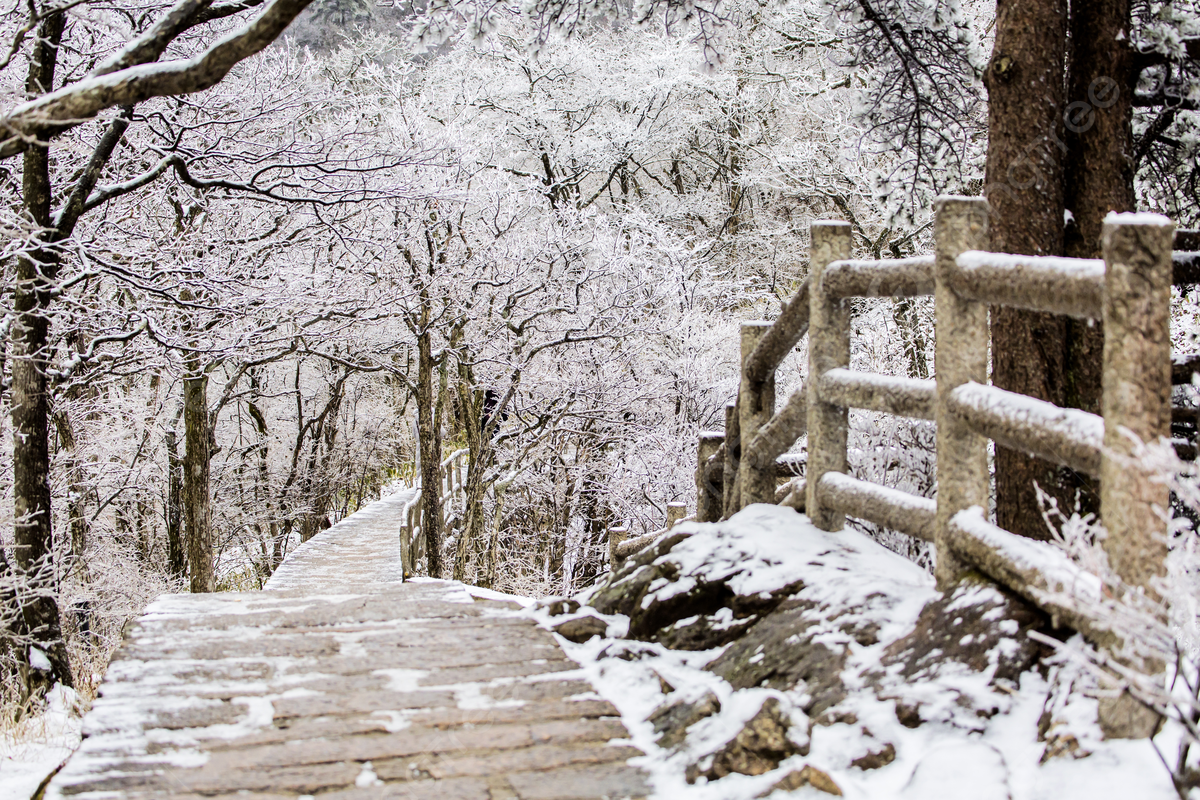 Snowy Road Background