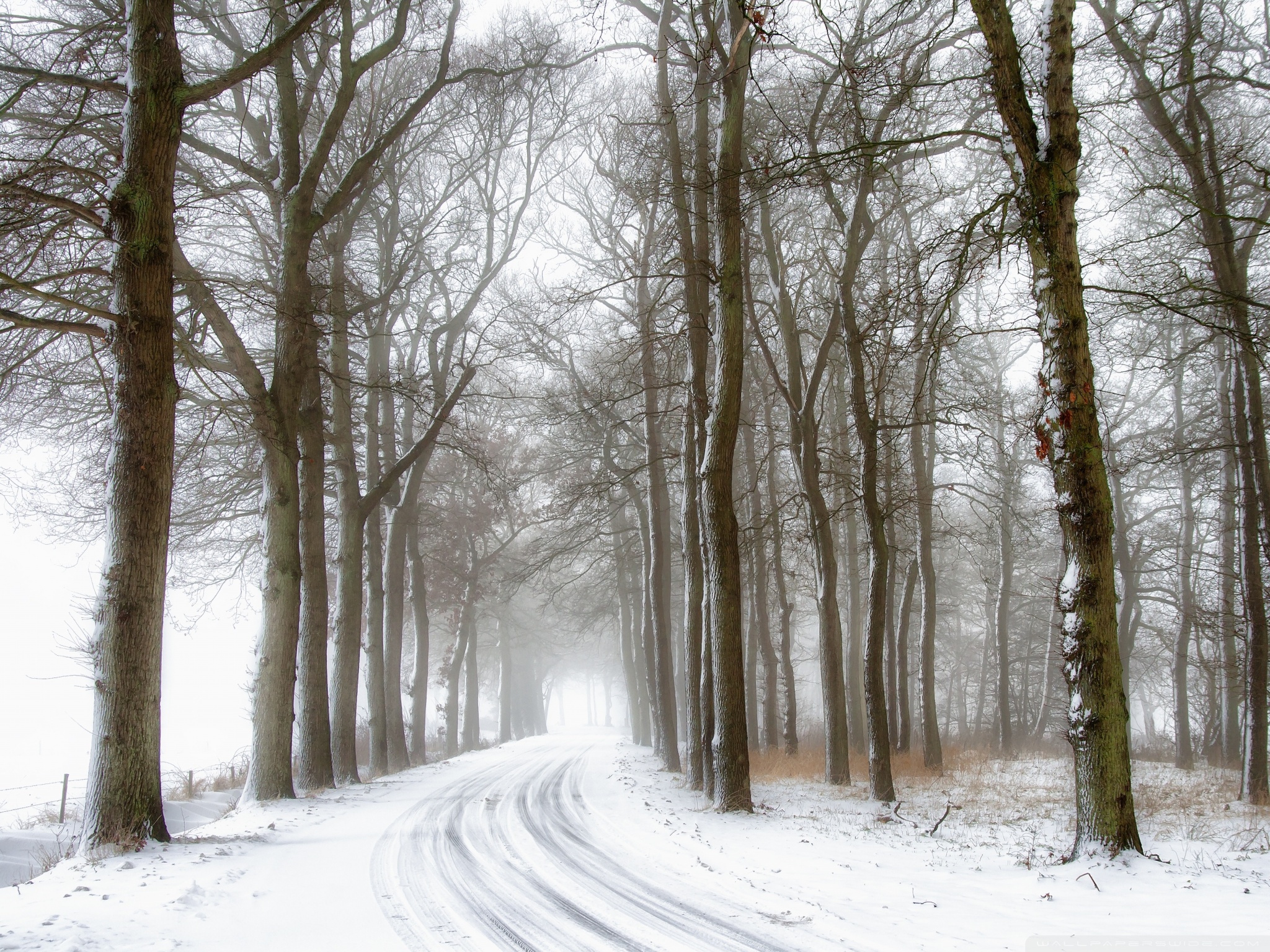 Snowy Road Background