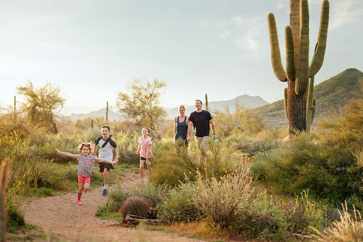 Sonoran Desert Background