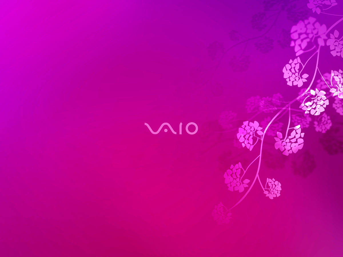 Sony Vaio Background