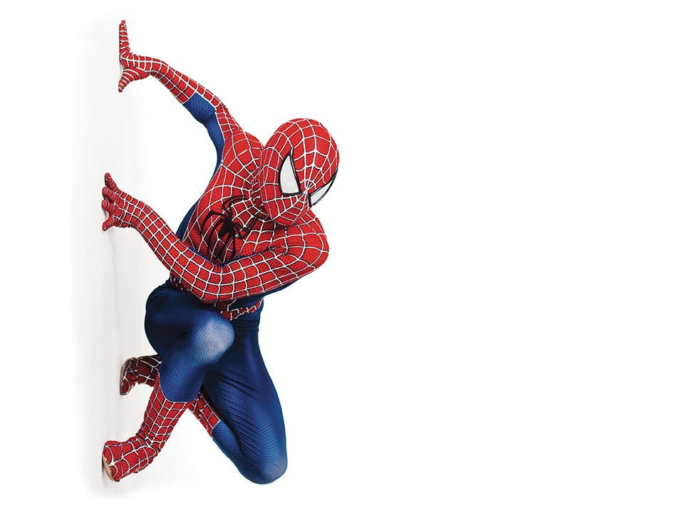 Spider Man White Background