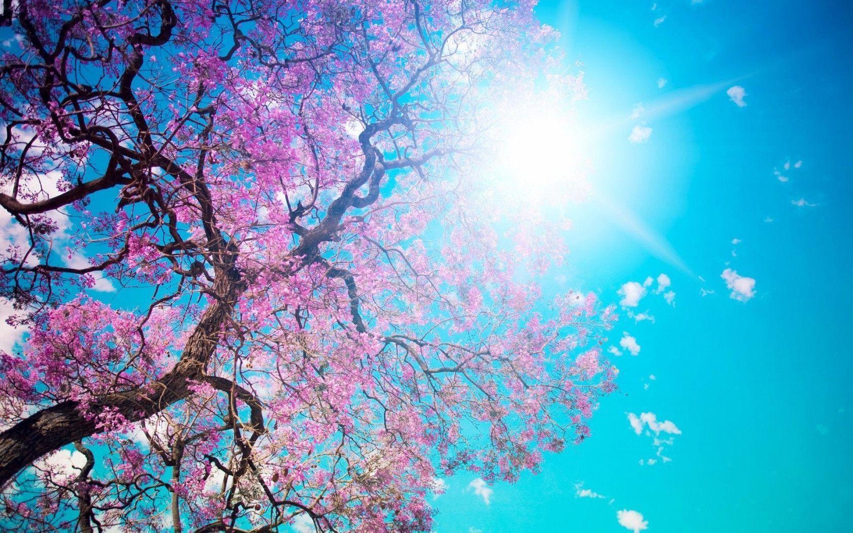 Spring Backgrounds For Computer