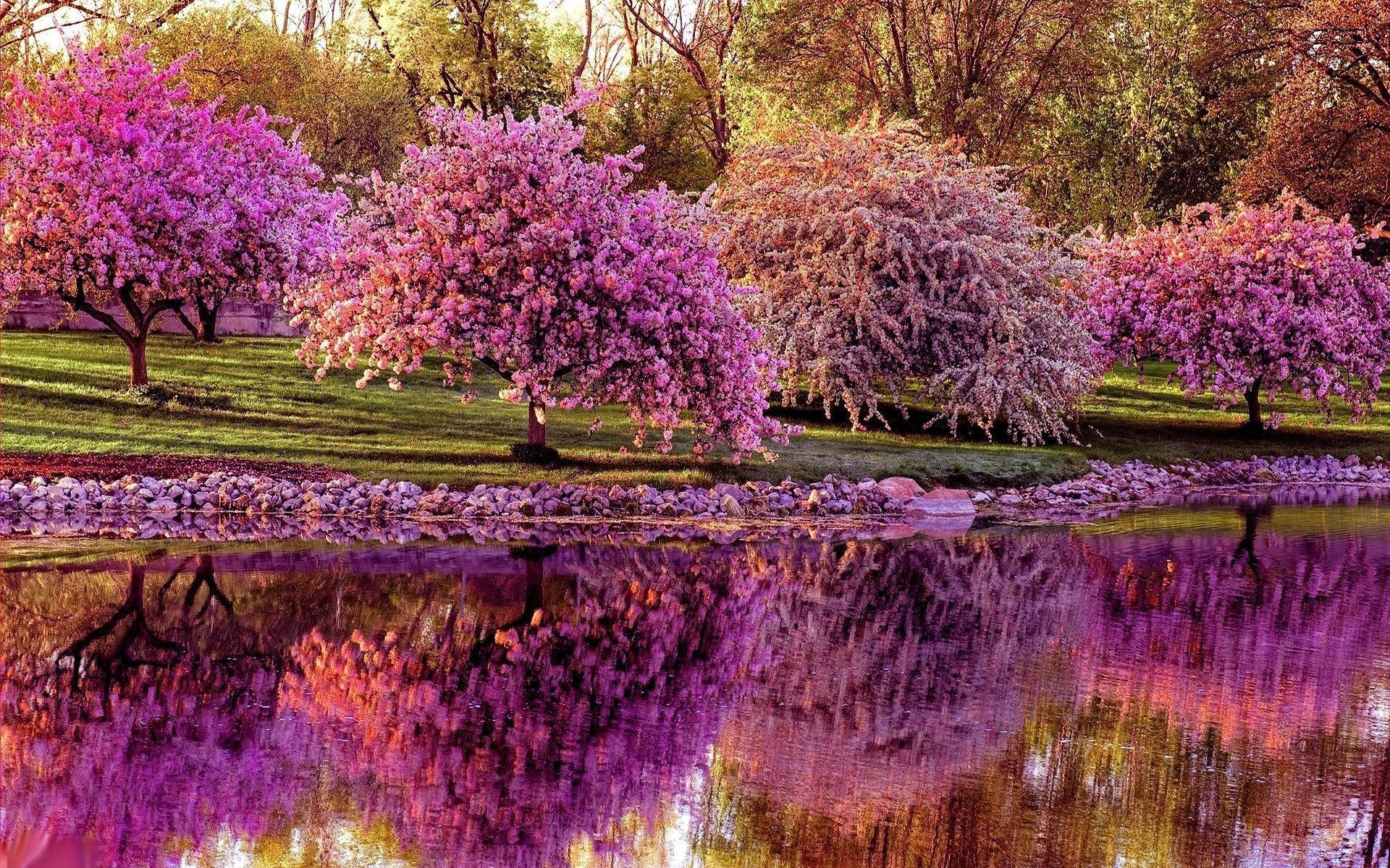 Spring Backgrounds For Computer