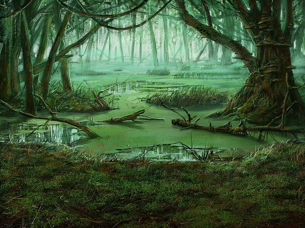 Swamp Background