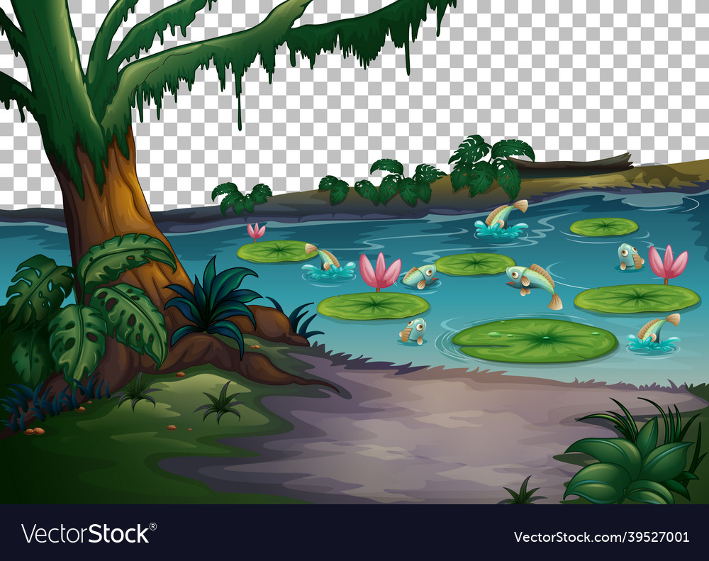 Swamp Background