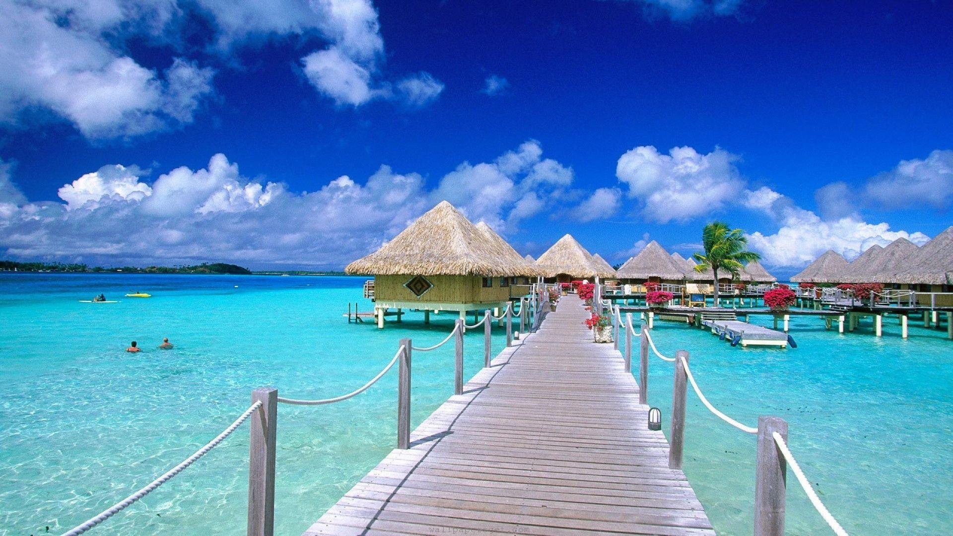 Tahiti Background