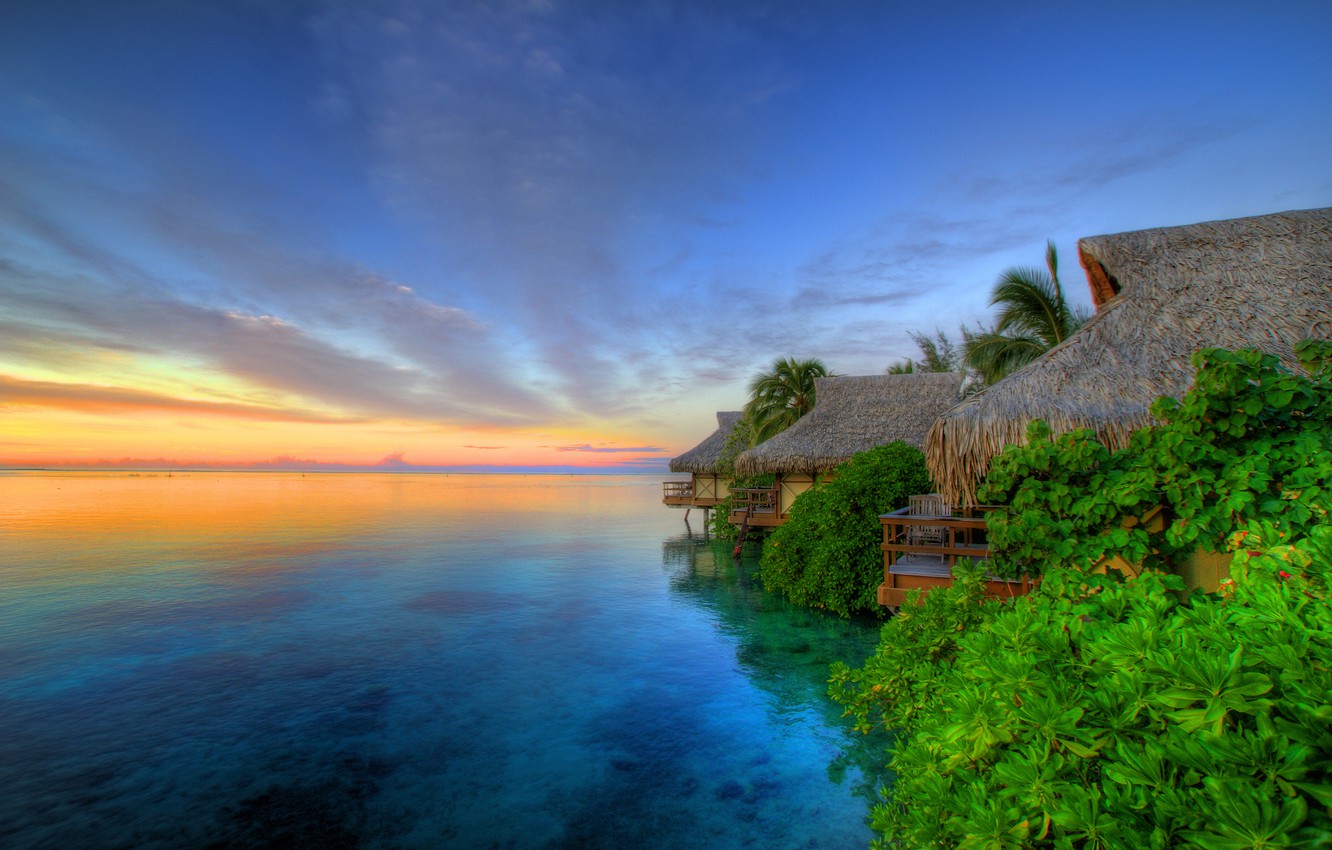 Tahiti Background