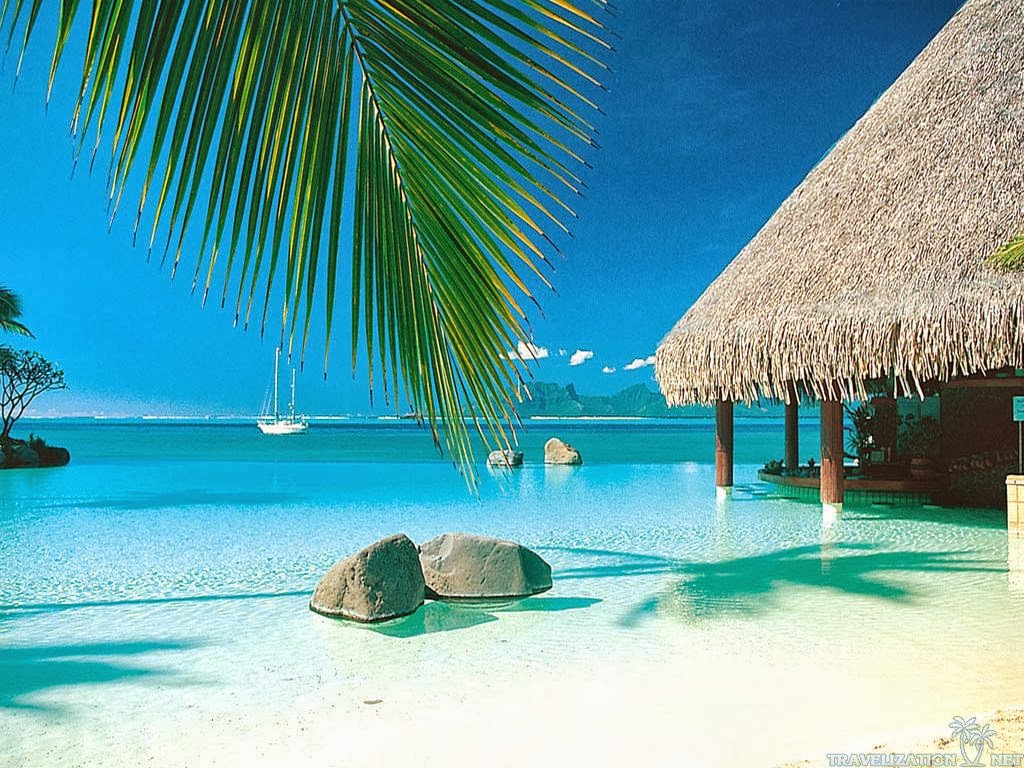 Tahiti Background