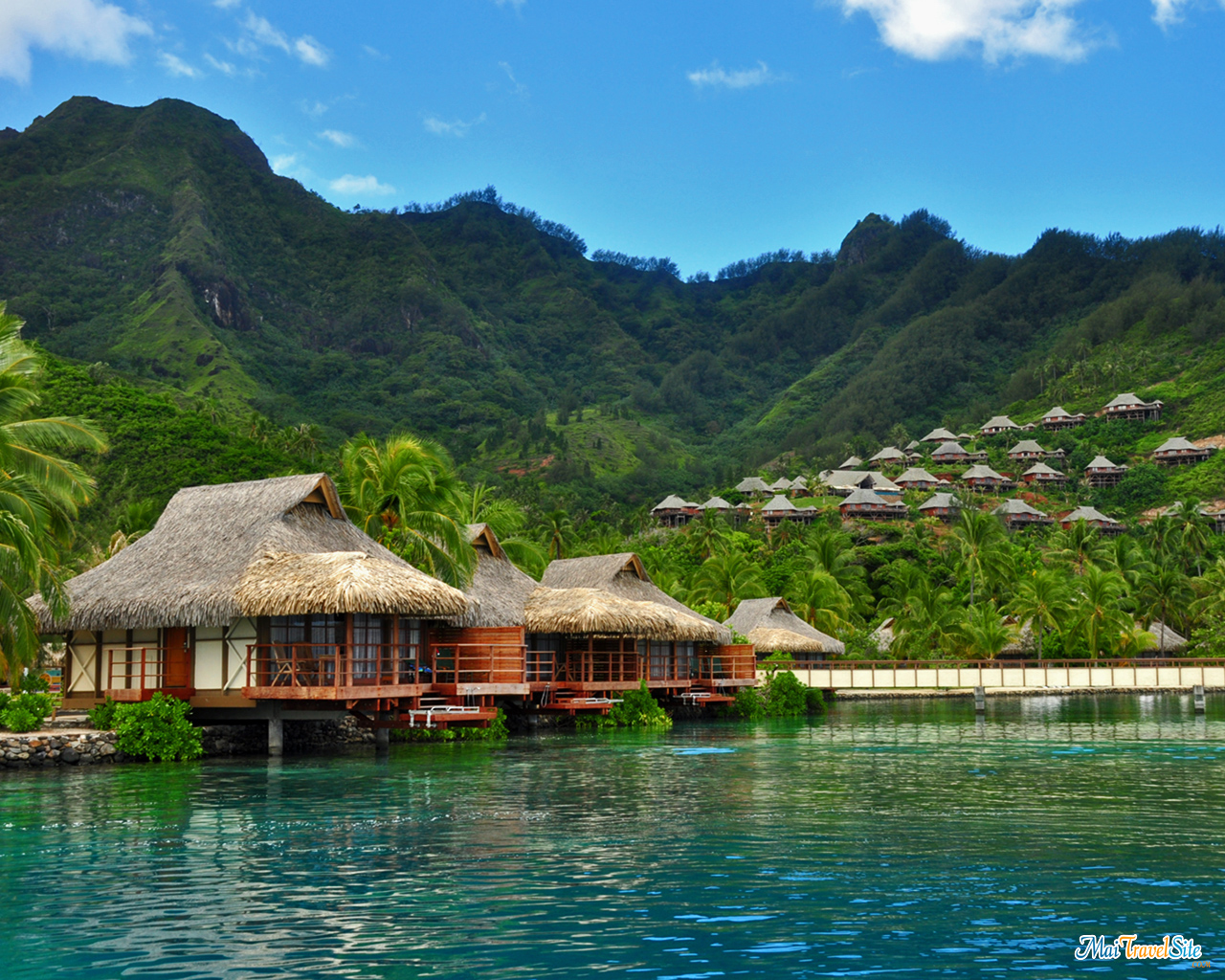 Tahiti Background