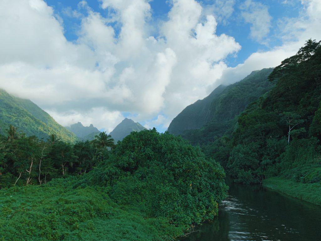 Tahiti Background