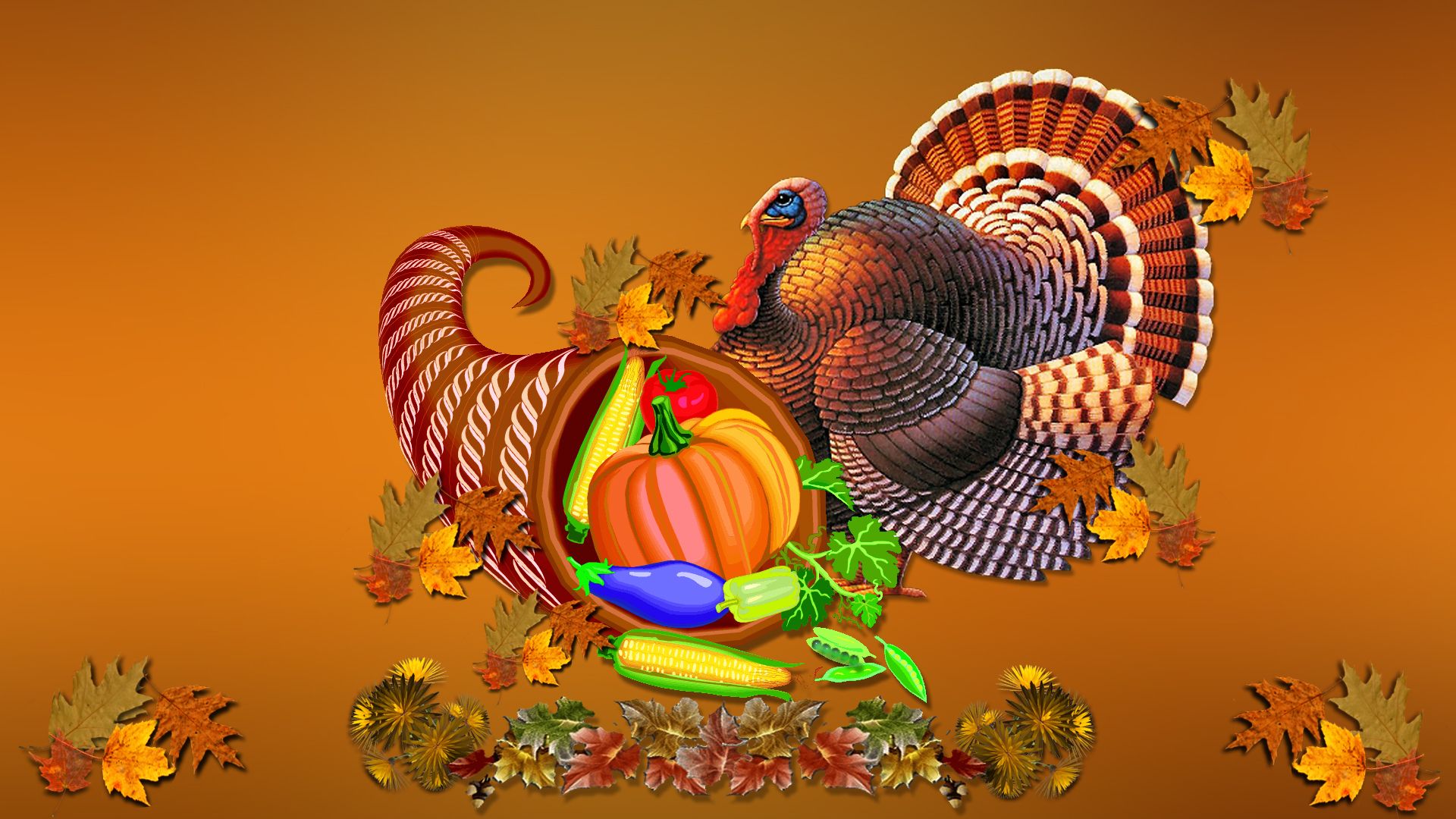 Thanksgiving 2016 Background